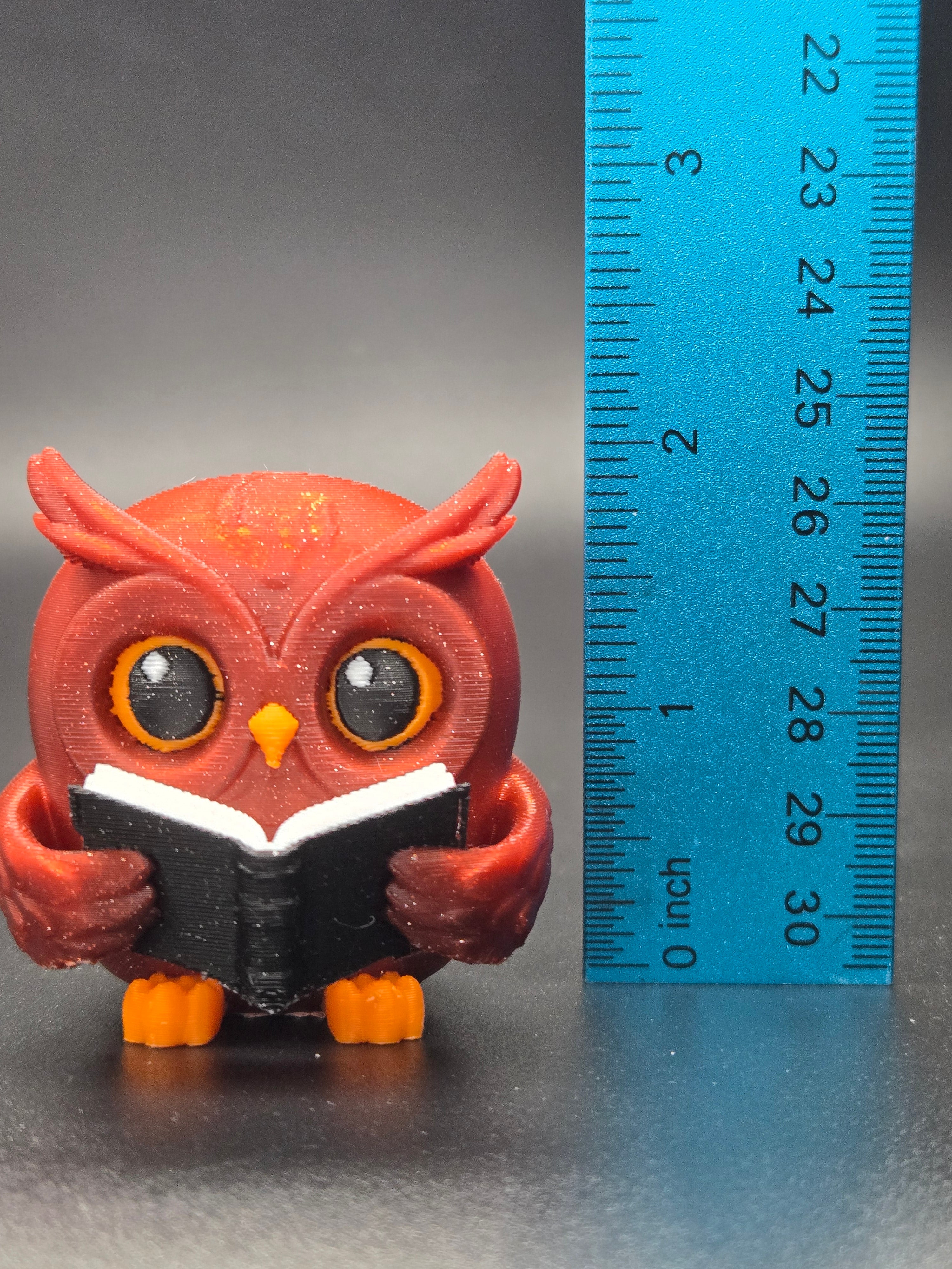 Reading Owl