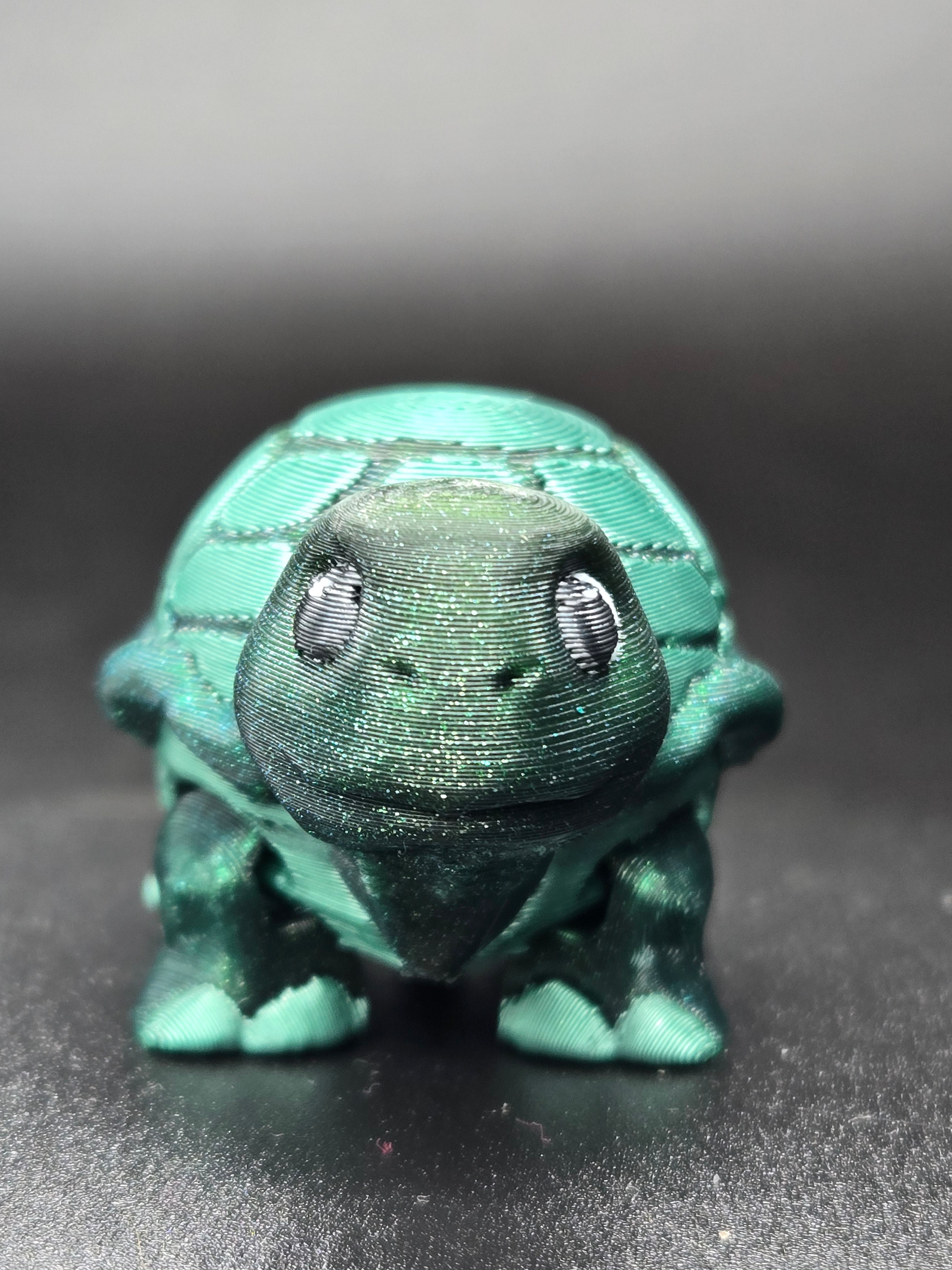 Timid Tortoise