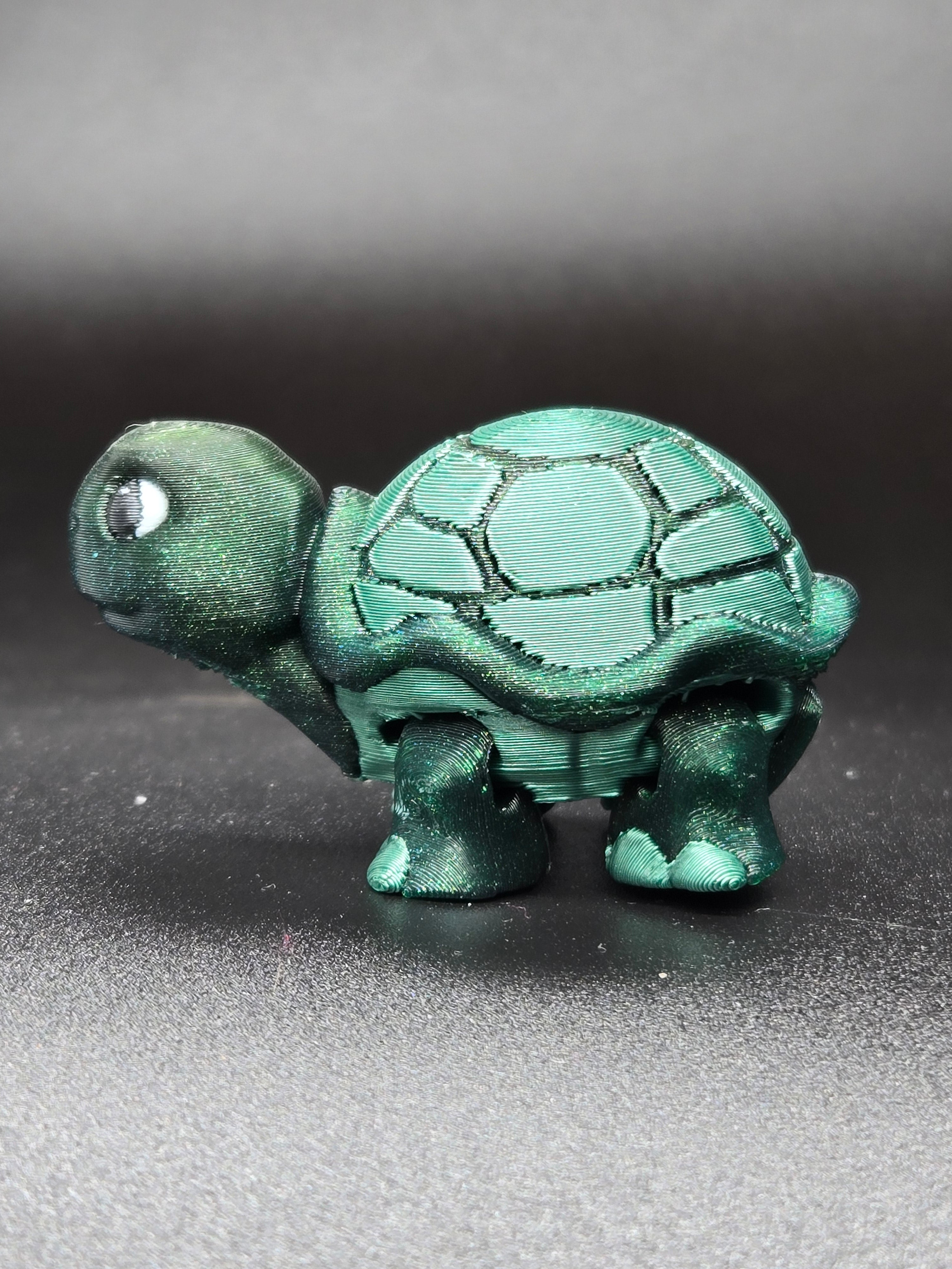 Timid Tortoise
