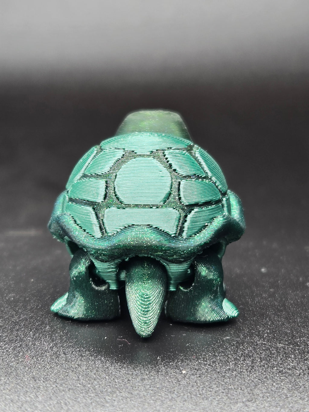 Timid Tortoise