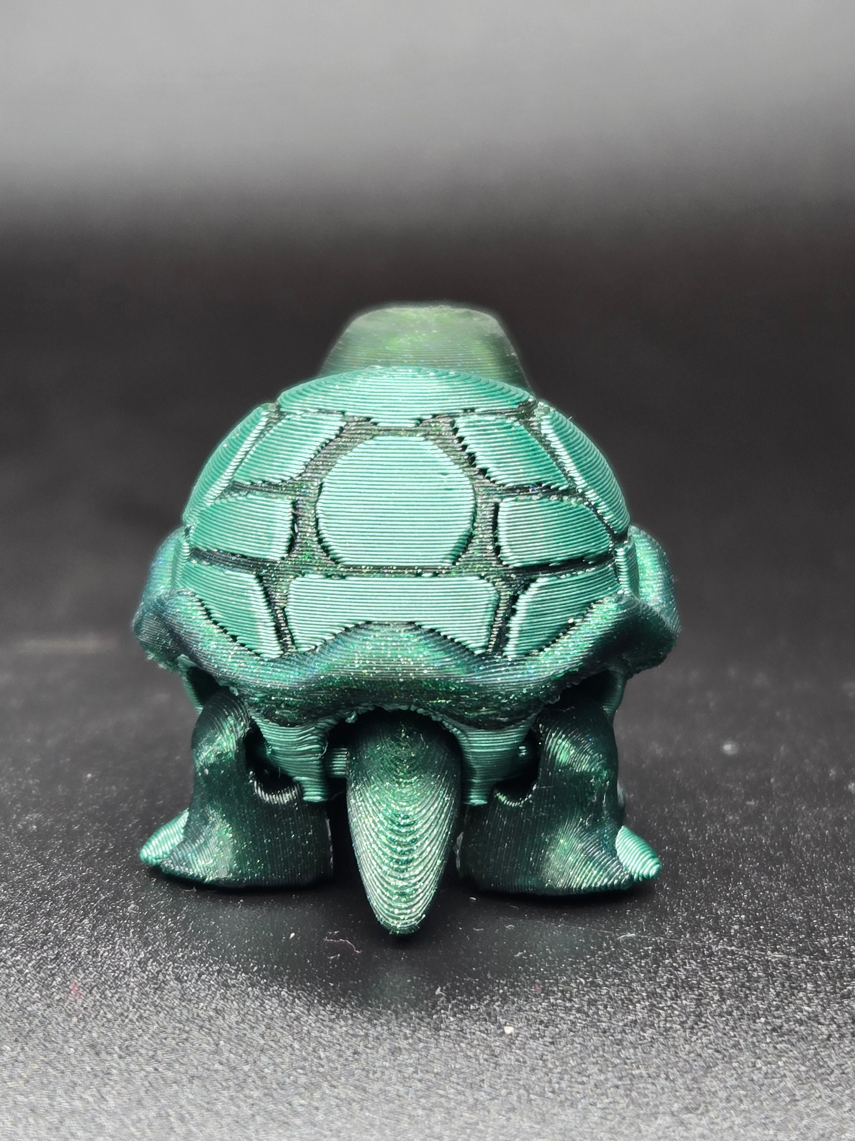 Timid Tortoise