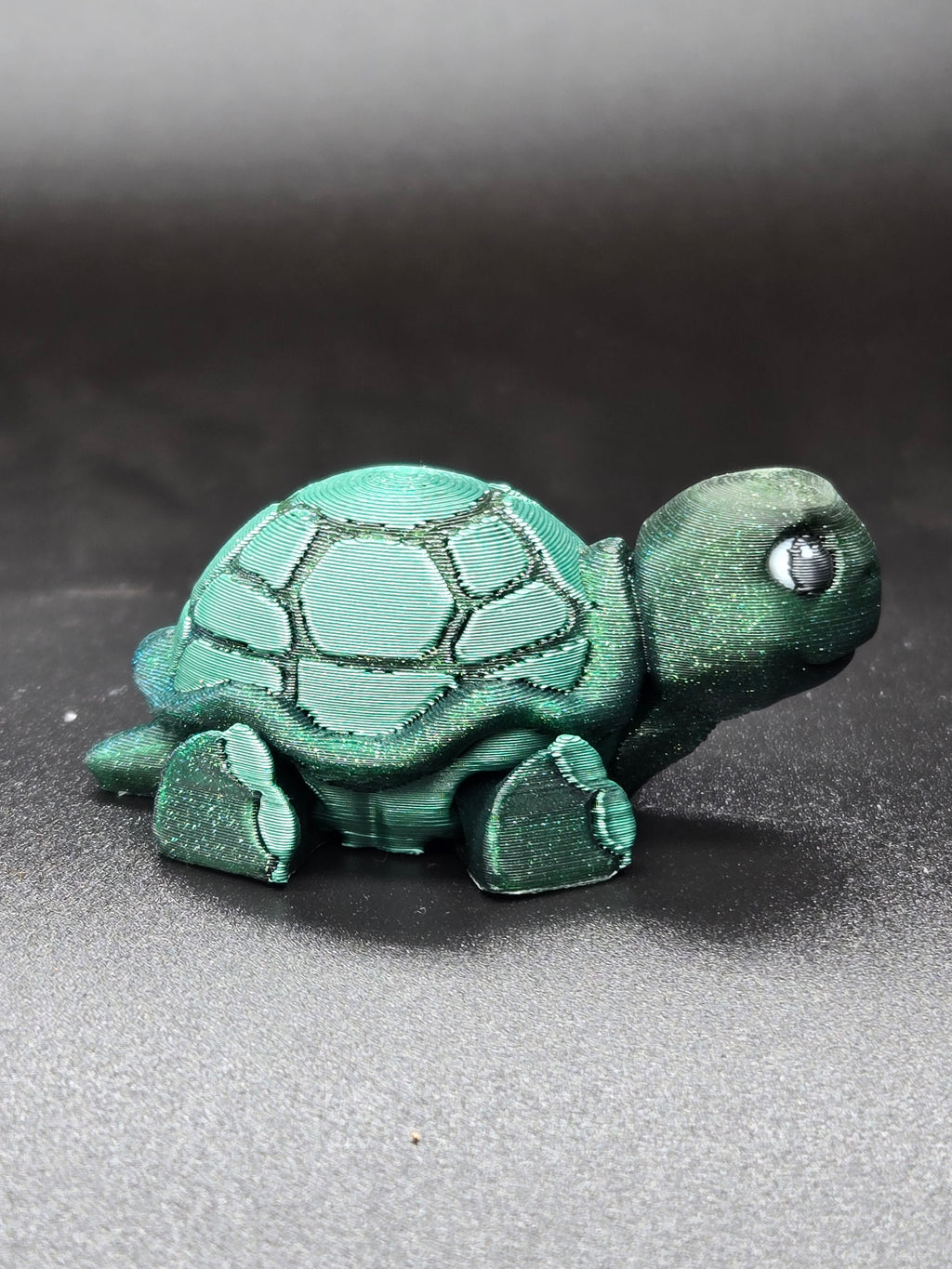 Timid Tortoise