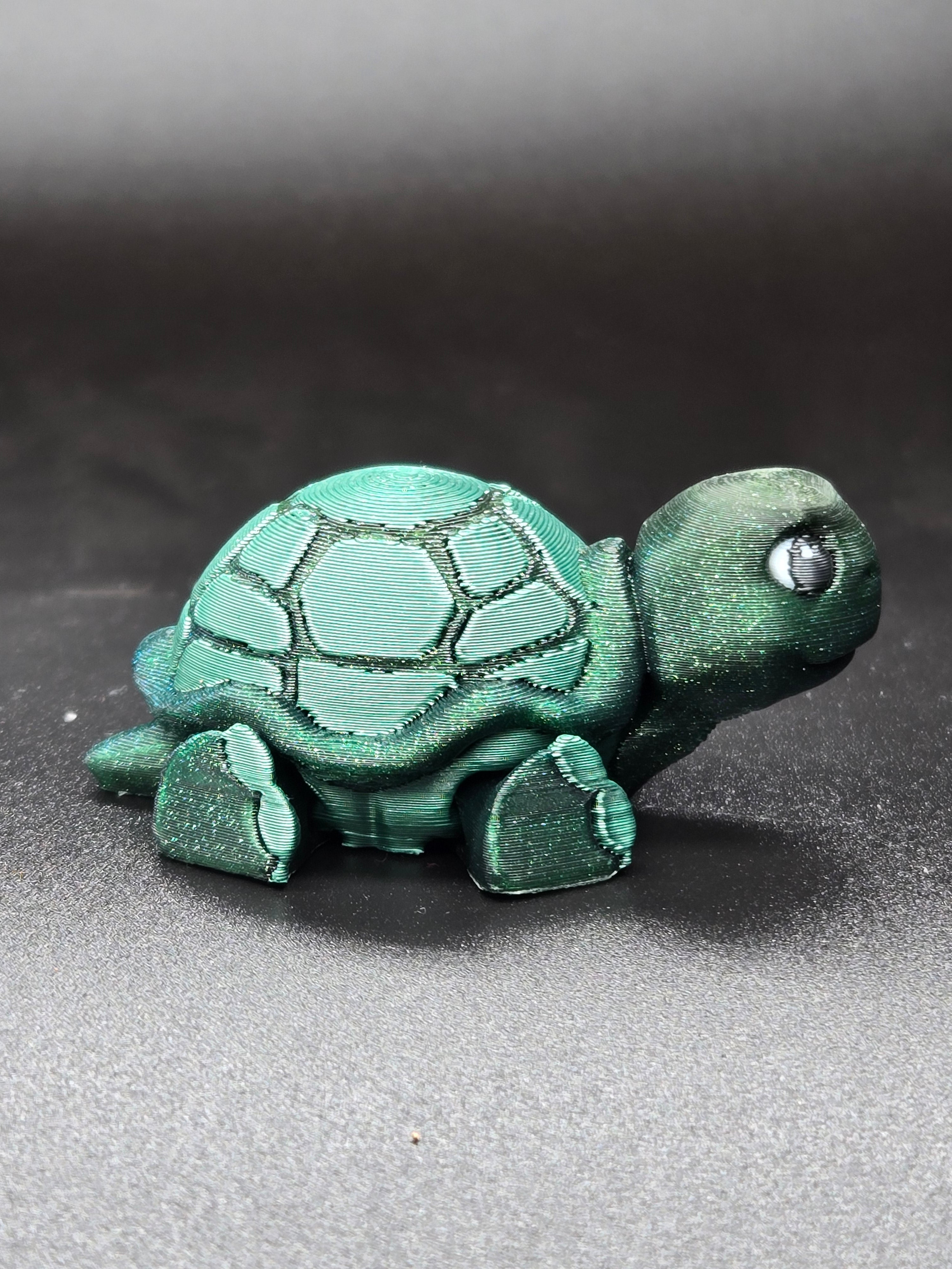 Timid Tortoise