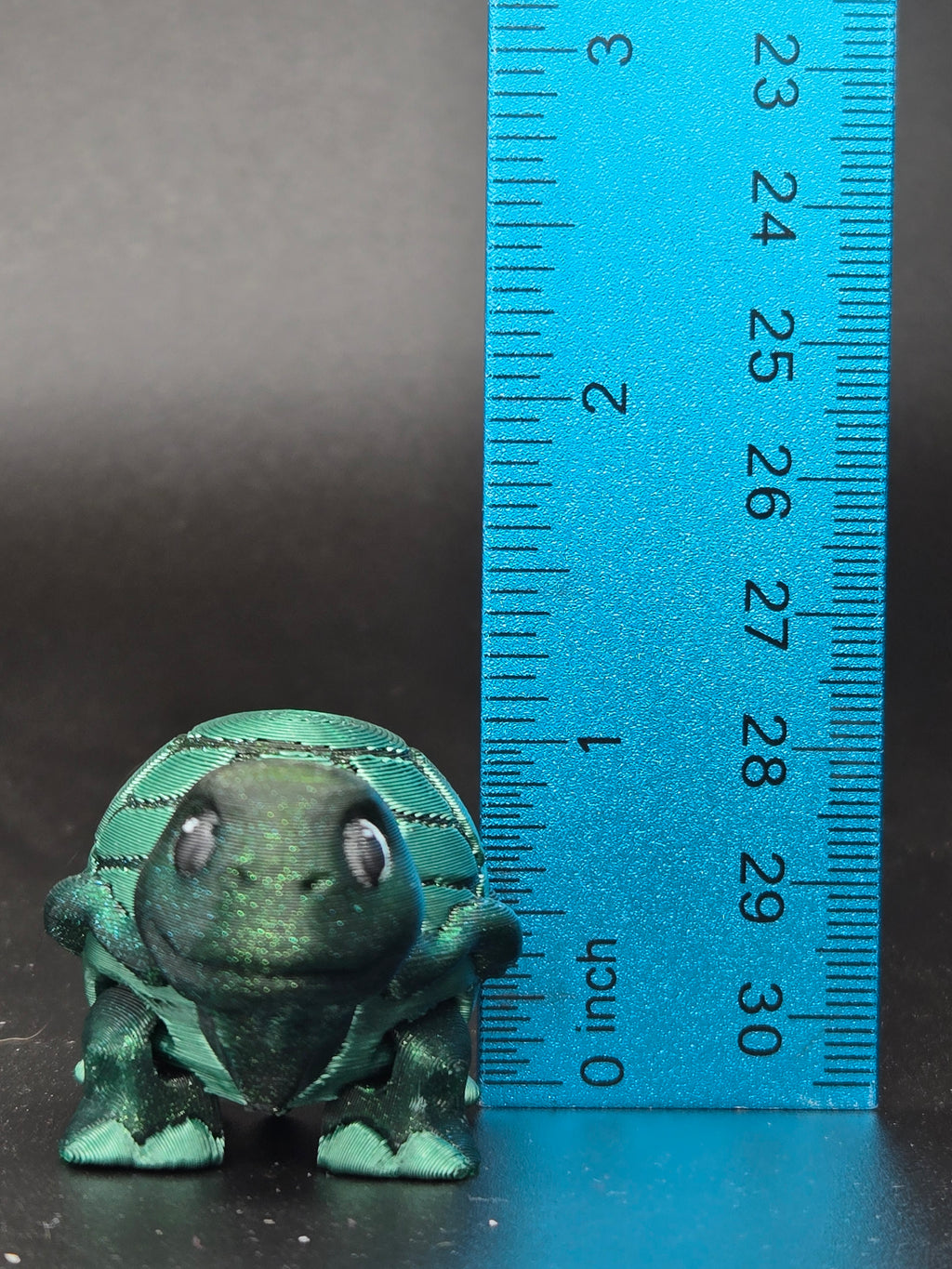 Timid Tortoise