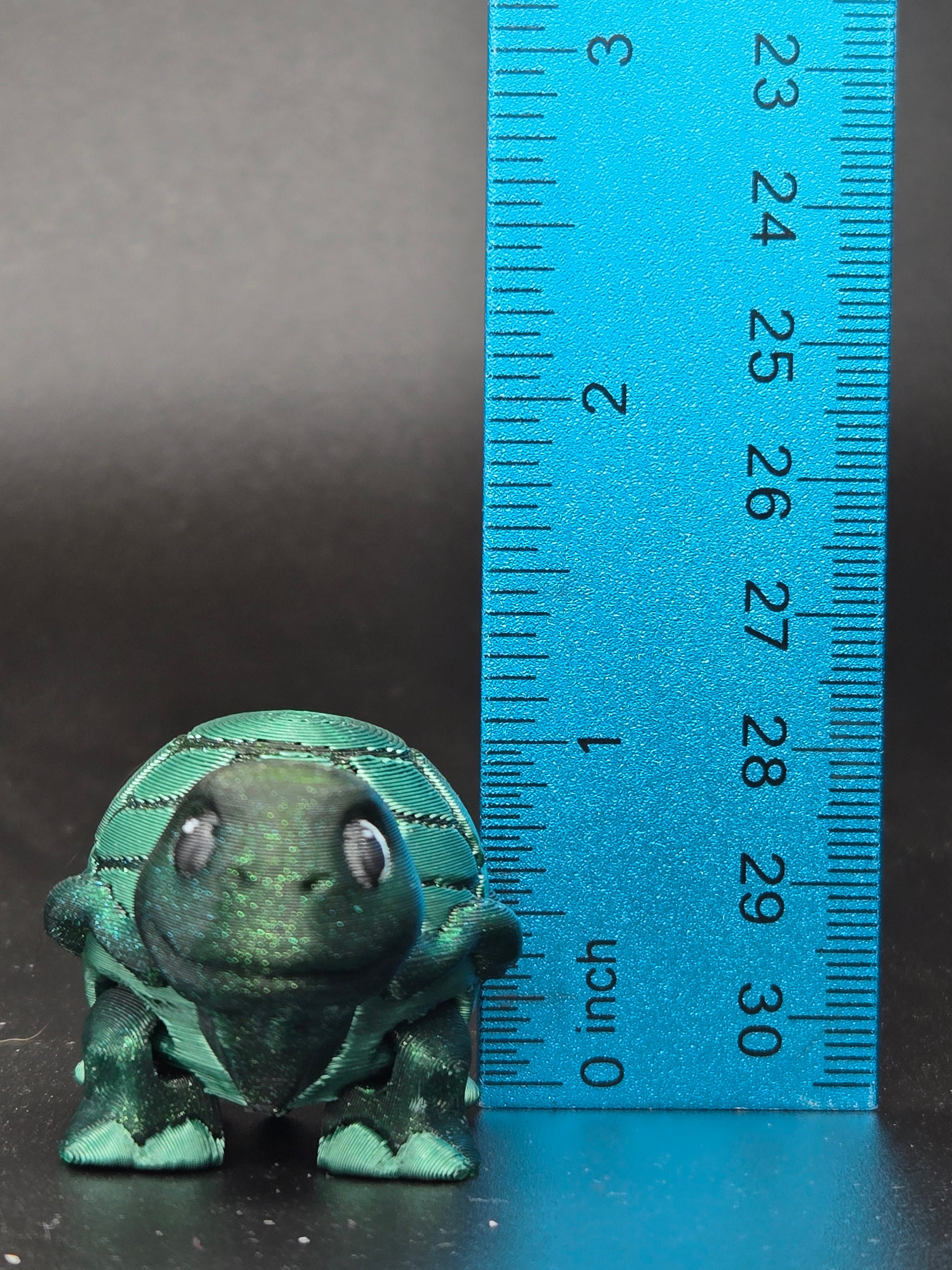Timid Tortoise