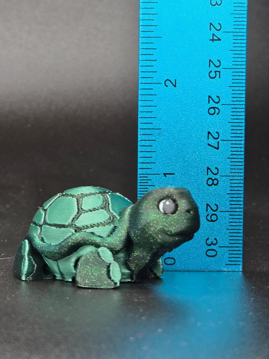 Timid Tortoise