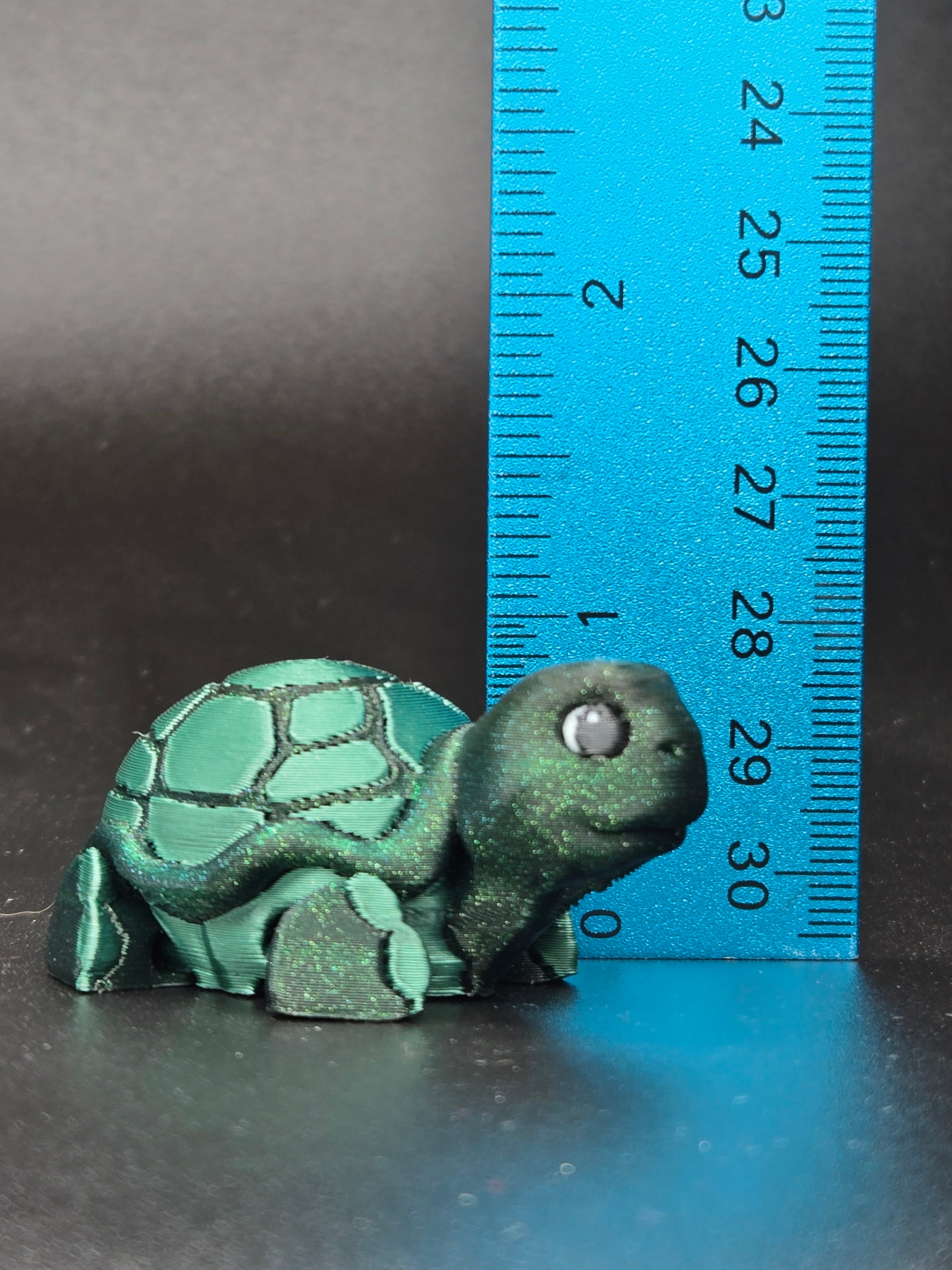 Timid Tortoise