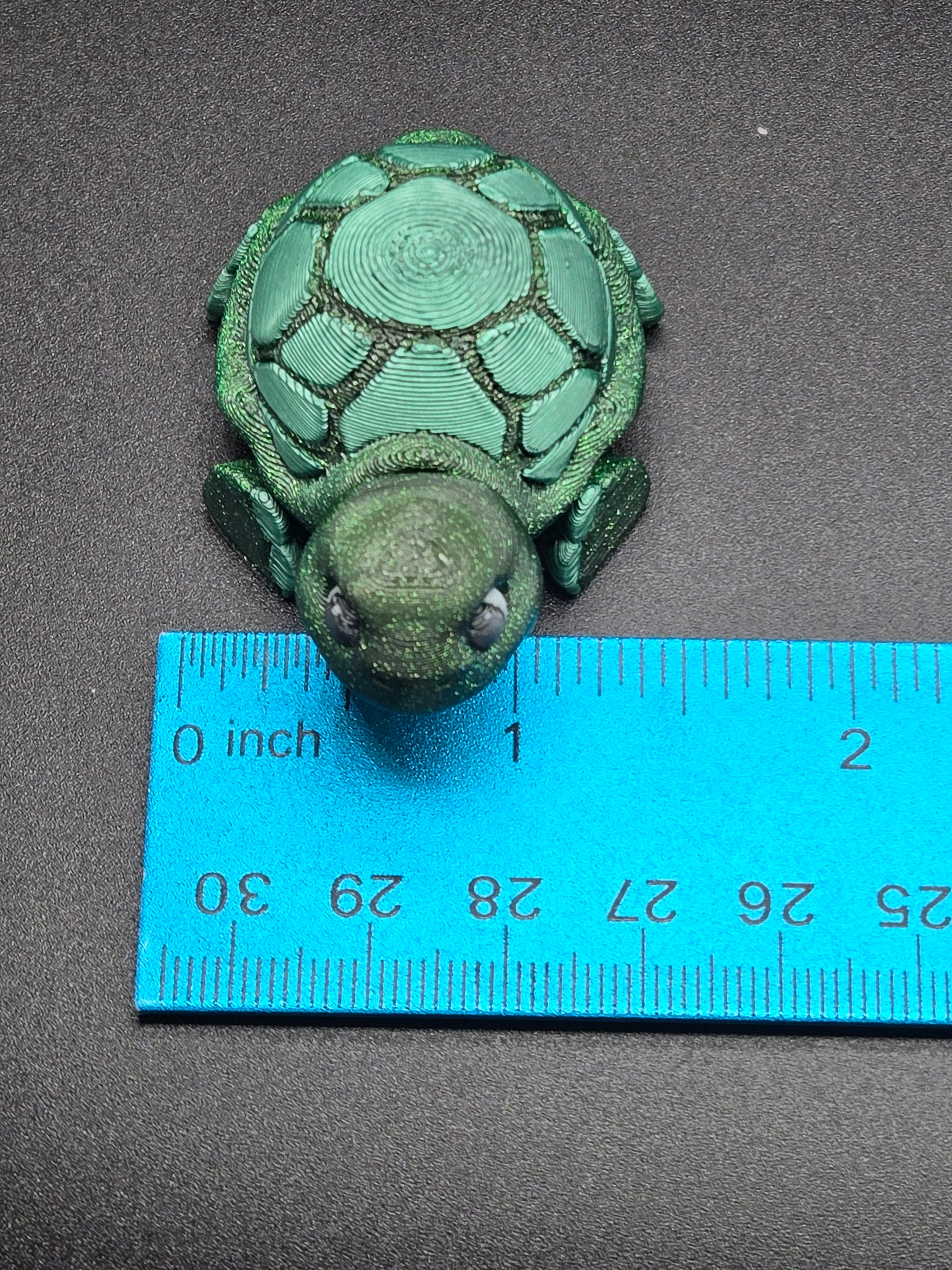 Timid Tortoise