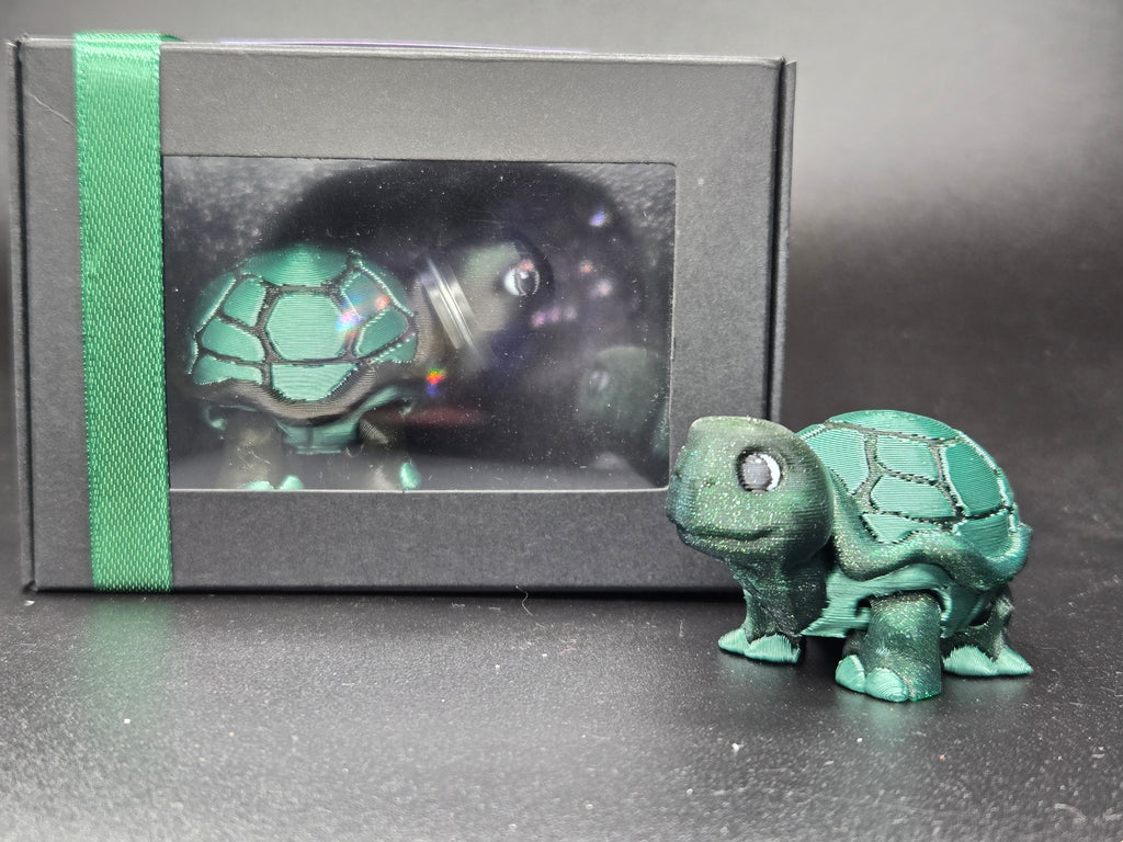Timid Tortoise