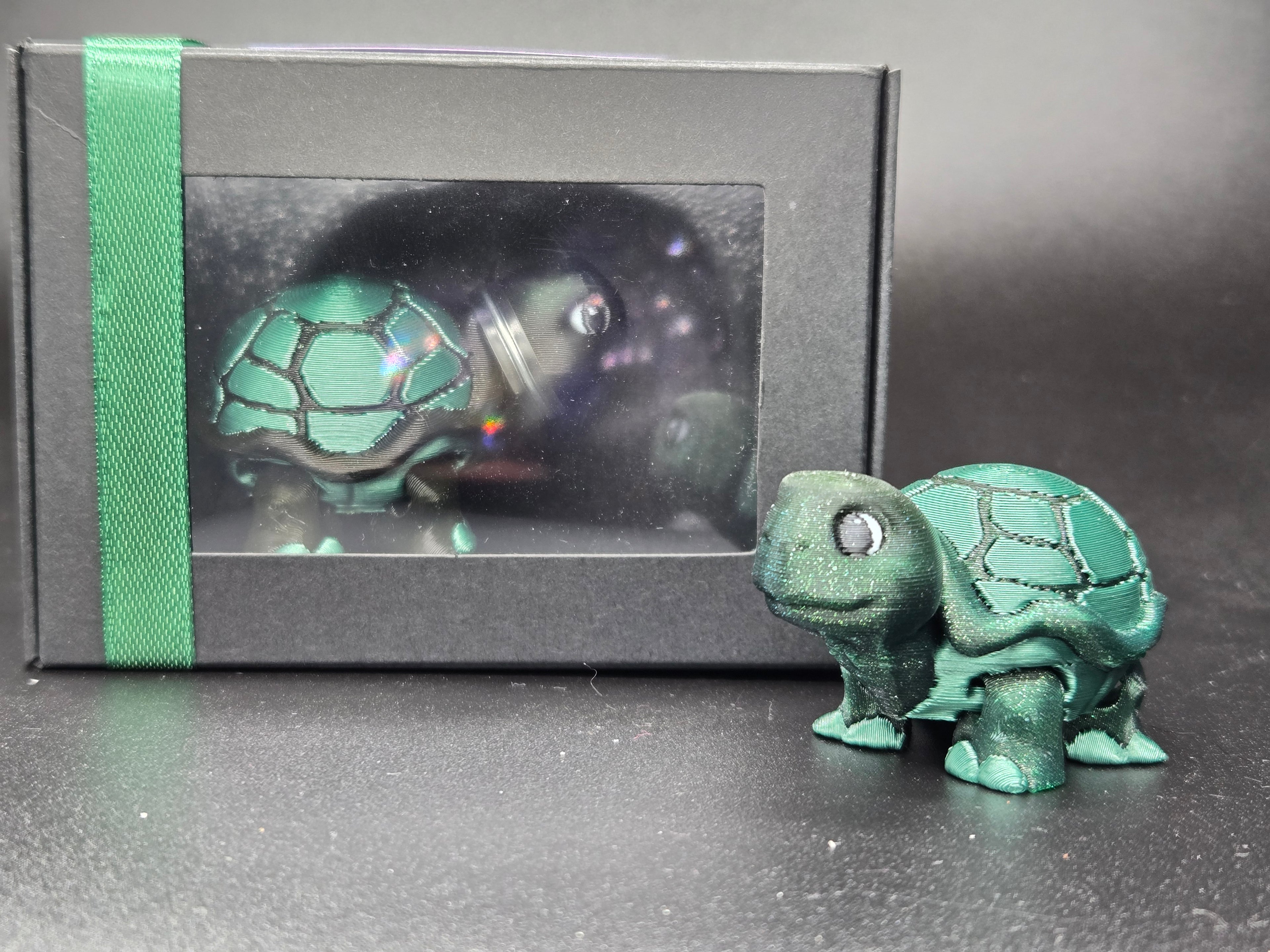 Timid Tortoise
