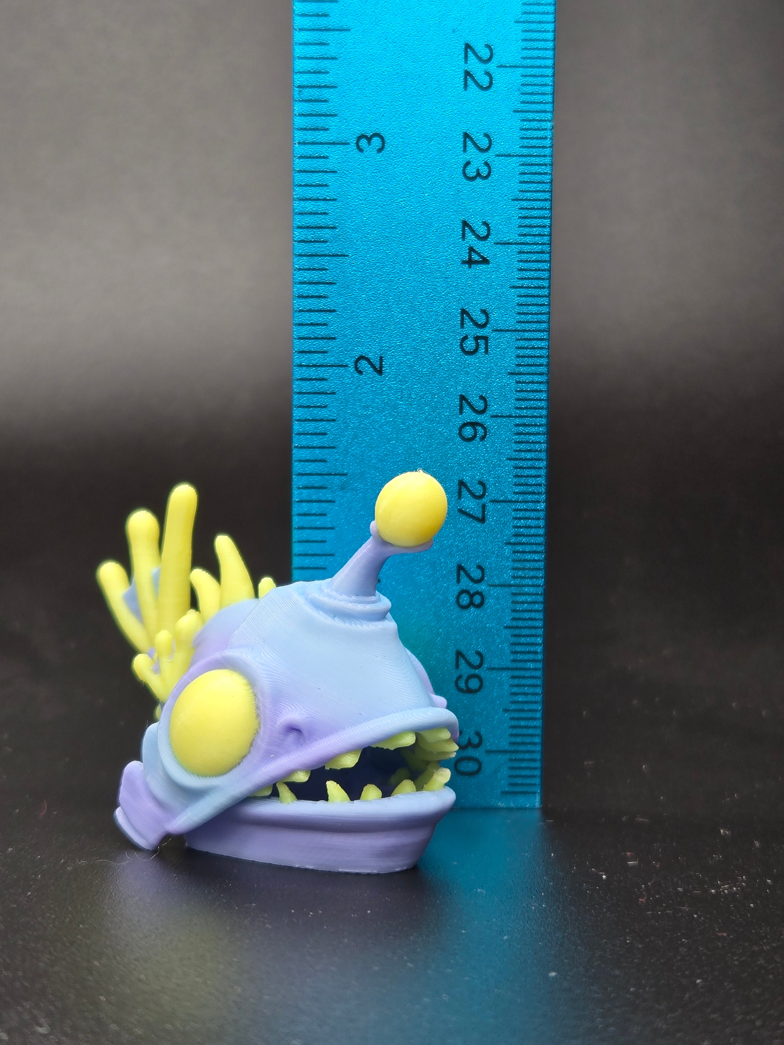 Mini Angler Fish