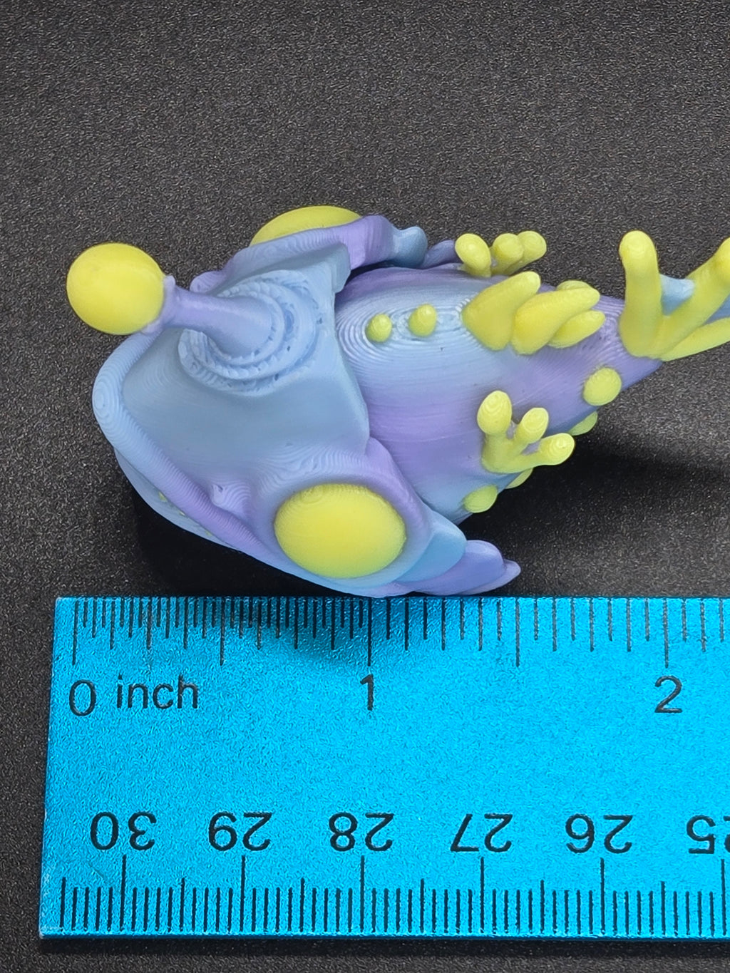 Mini Angler Fish