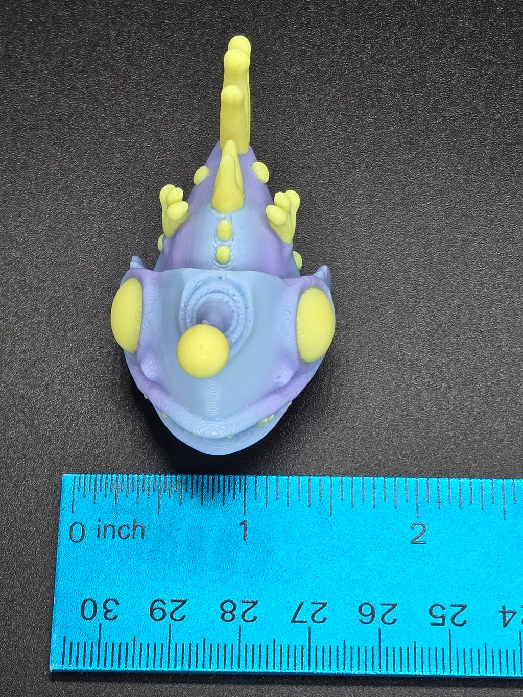 Mini Angler Fish