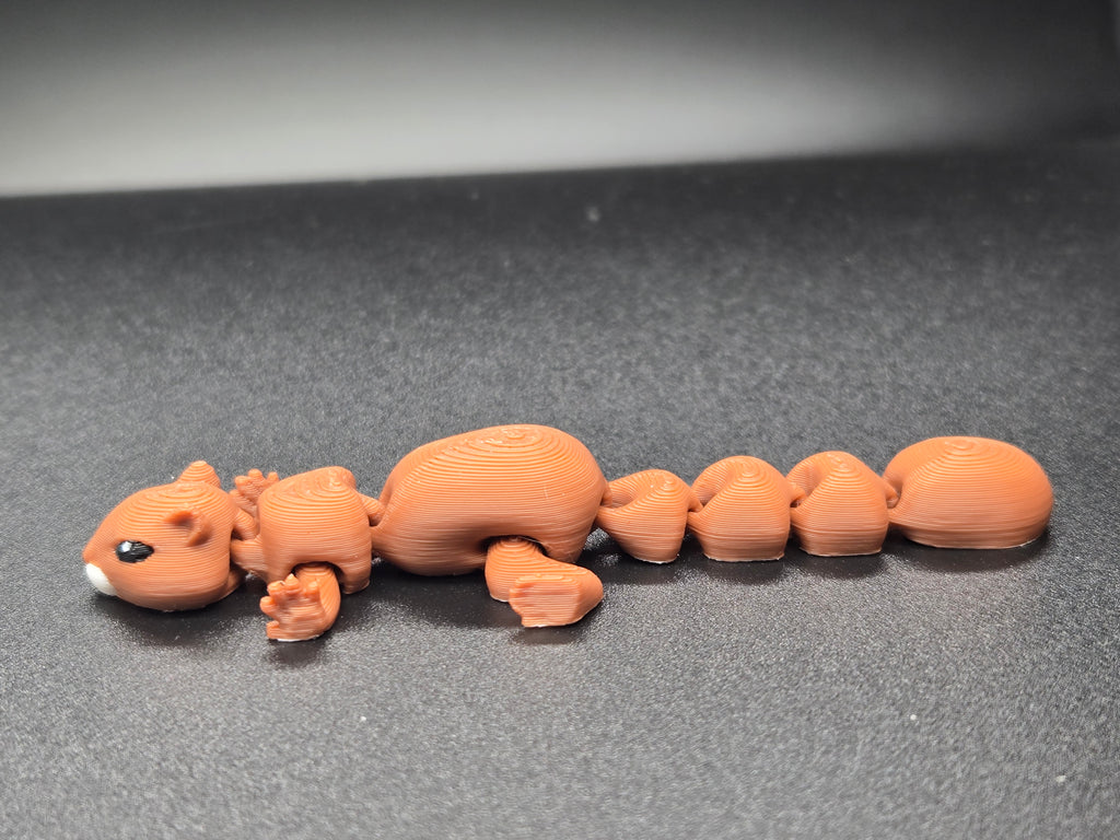 Squiggly Squirrel