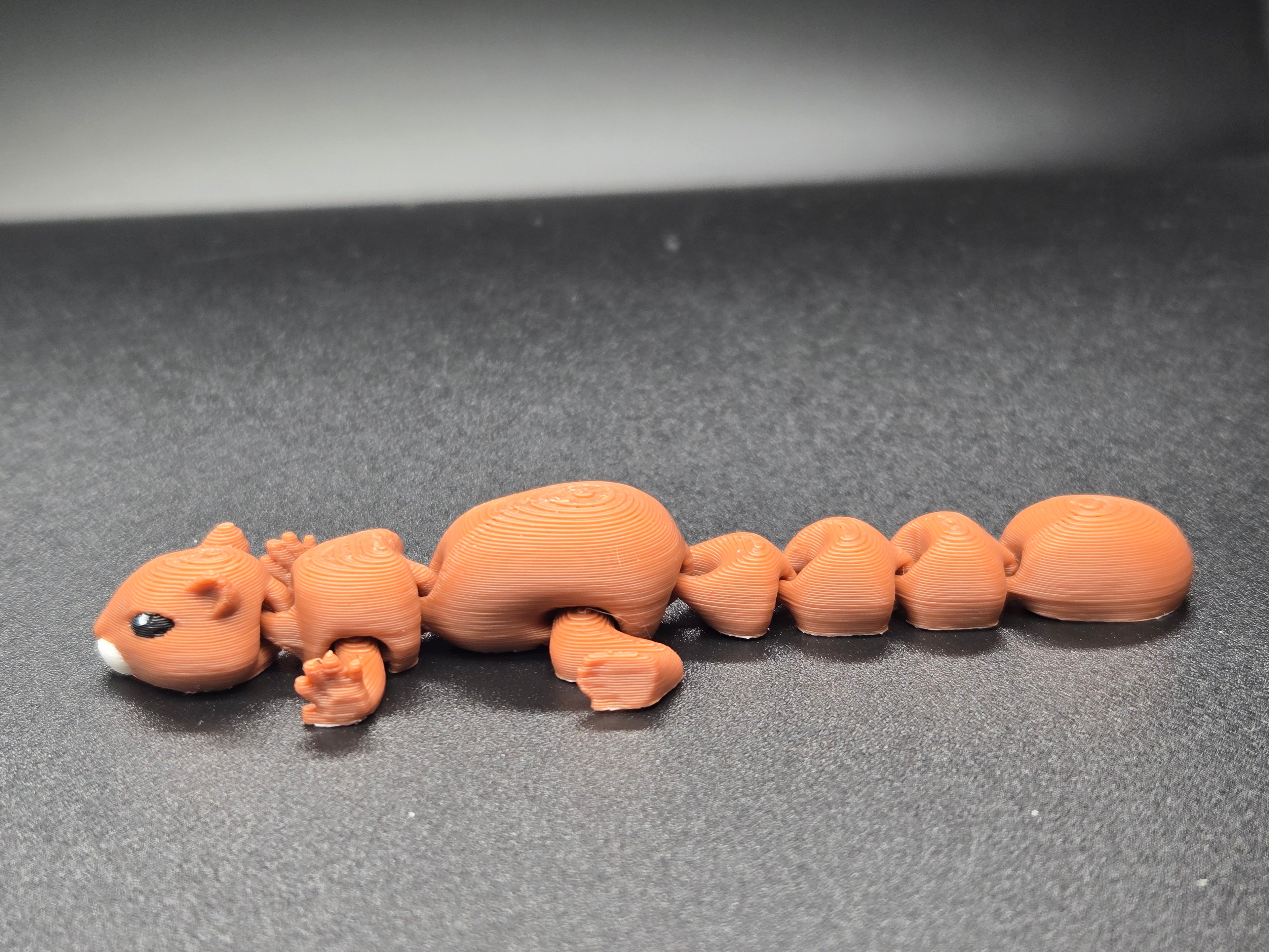 Squiggly Squirrel
