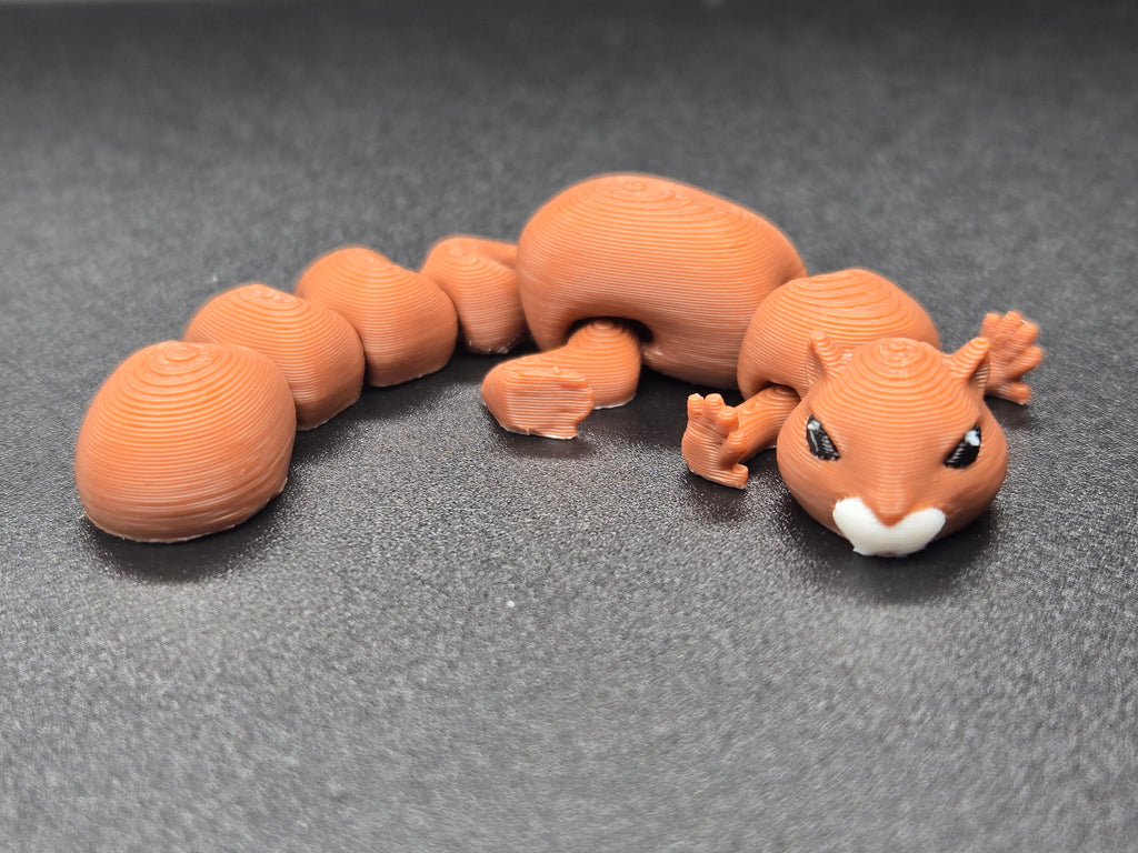 Squiggly Squirrel