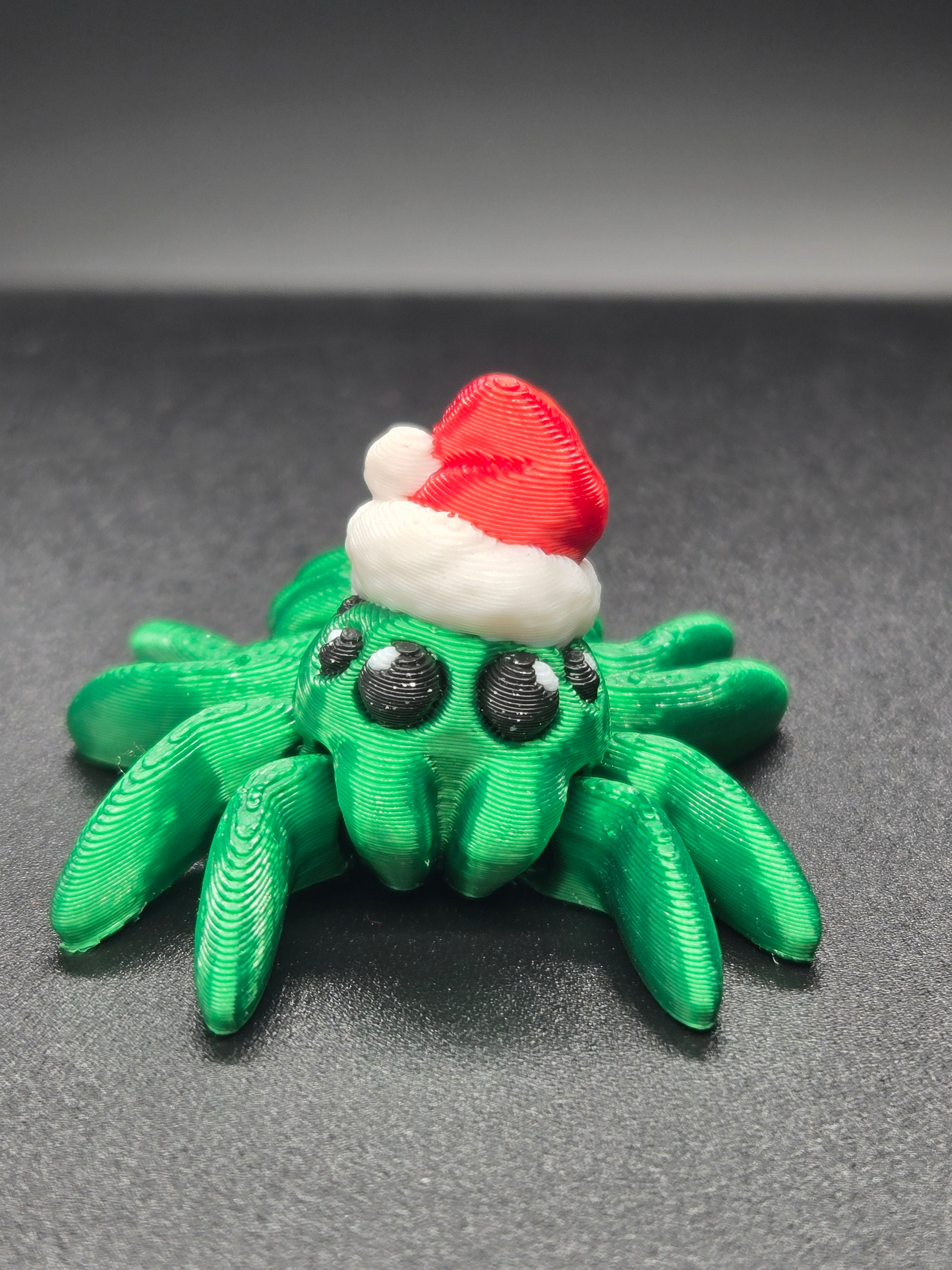 Santa Spider Hatchling