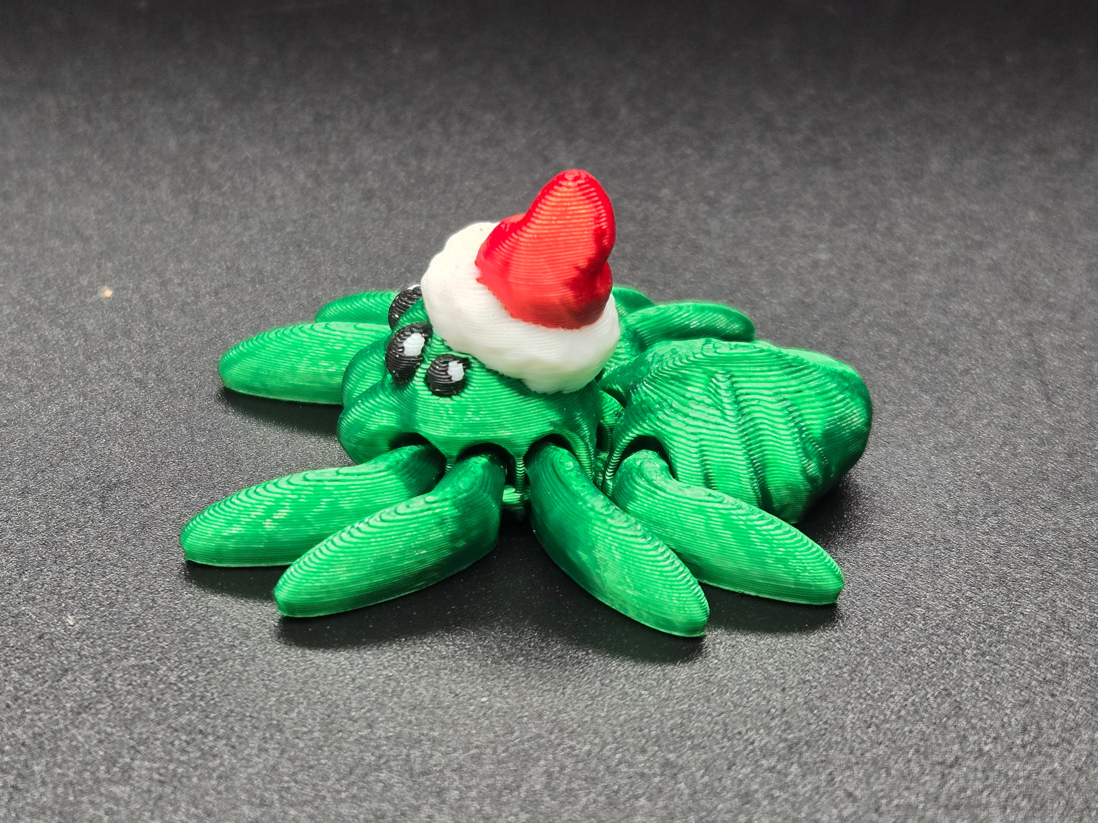 Santa Spider Hatchling