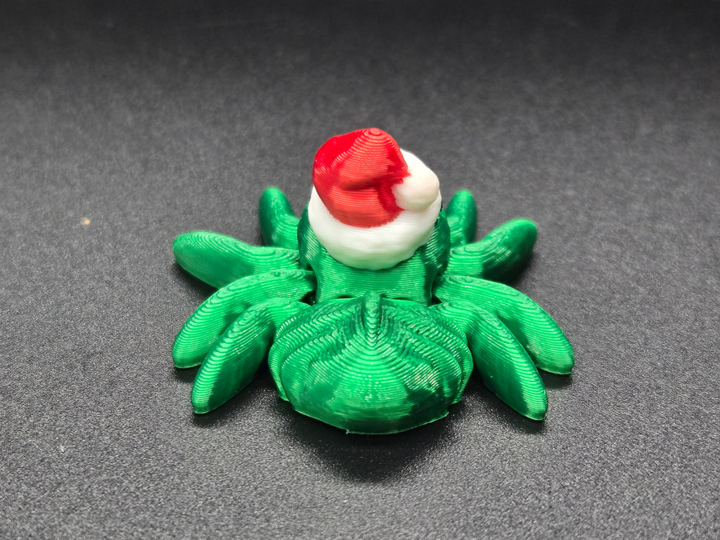 Santa Spider Hatchling