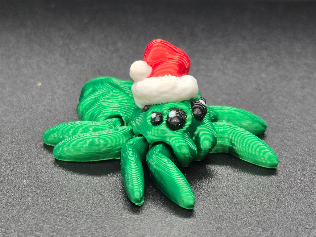 Santa Spider Hatchling