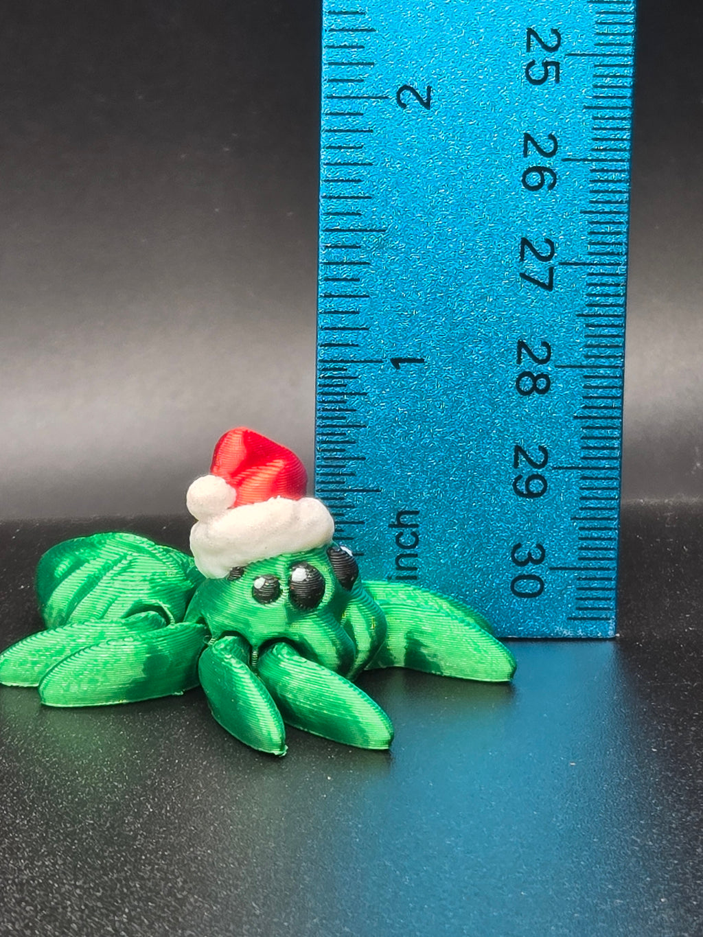 Santa Spider Hatchling