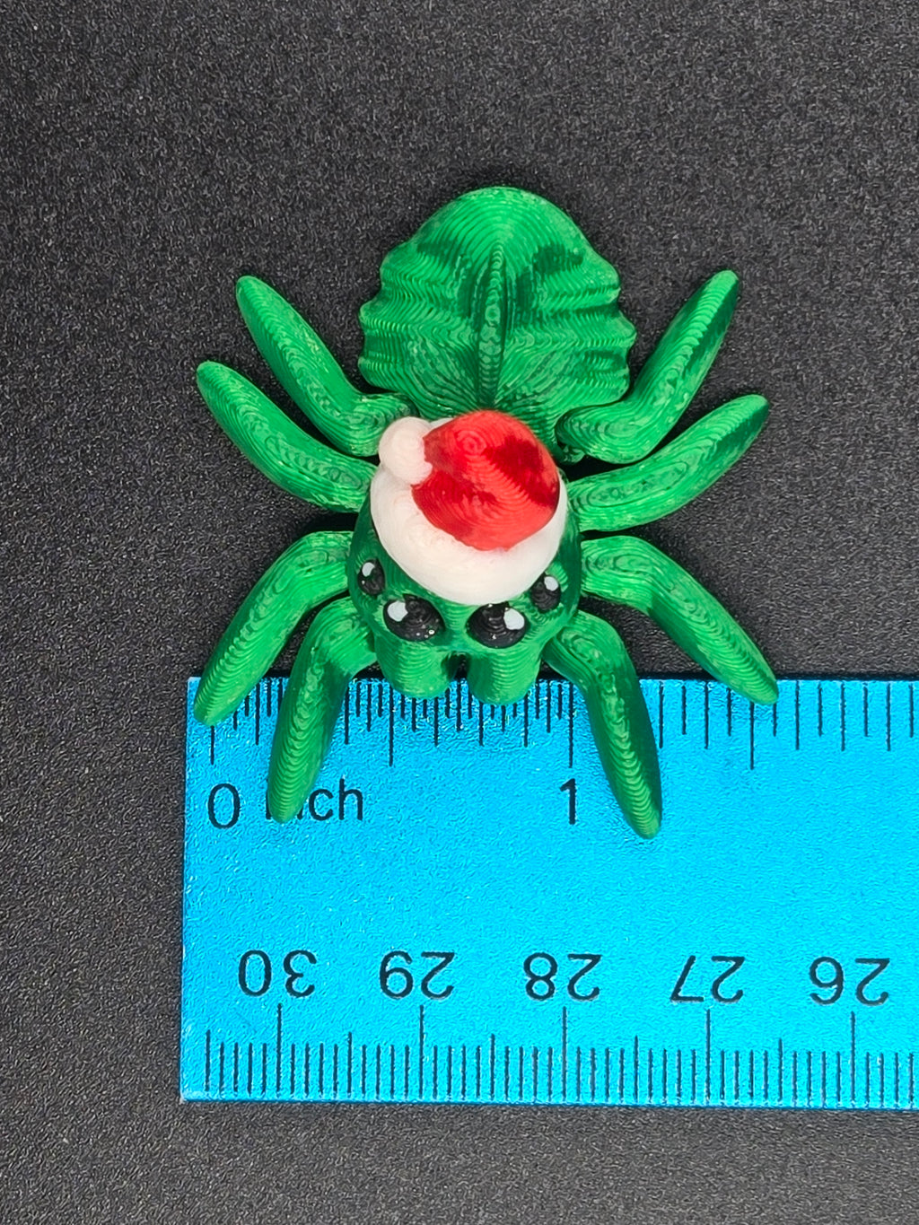 Santa Spider Hatchling