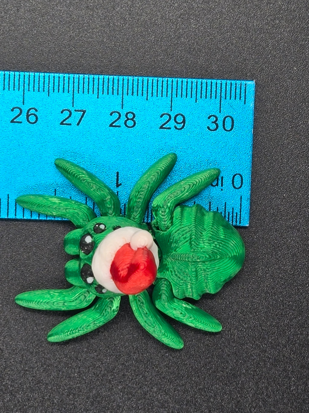 Santa Spider Hatchling