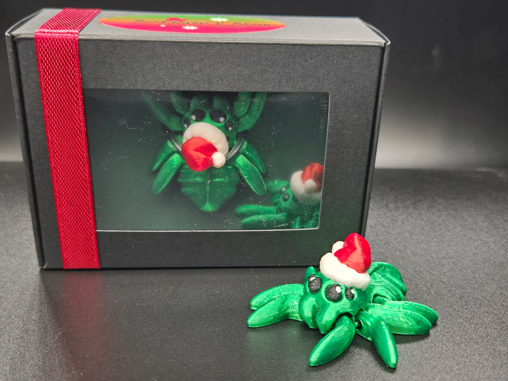 Santa Spider Hatchling