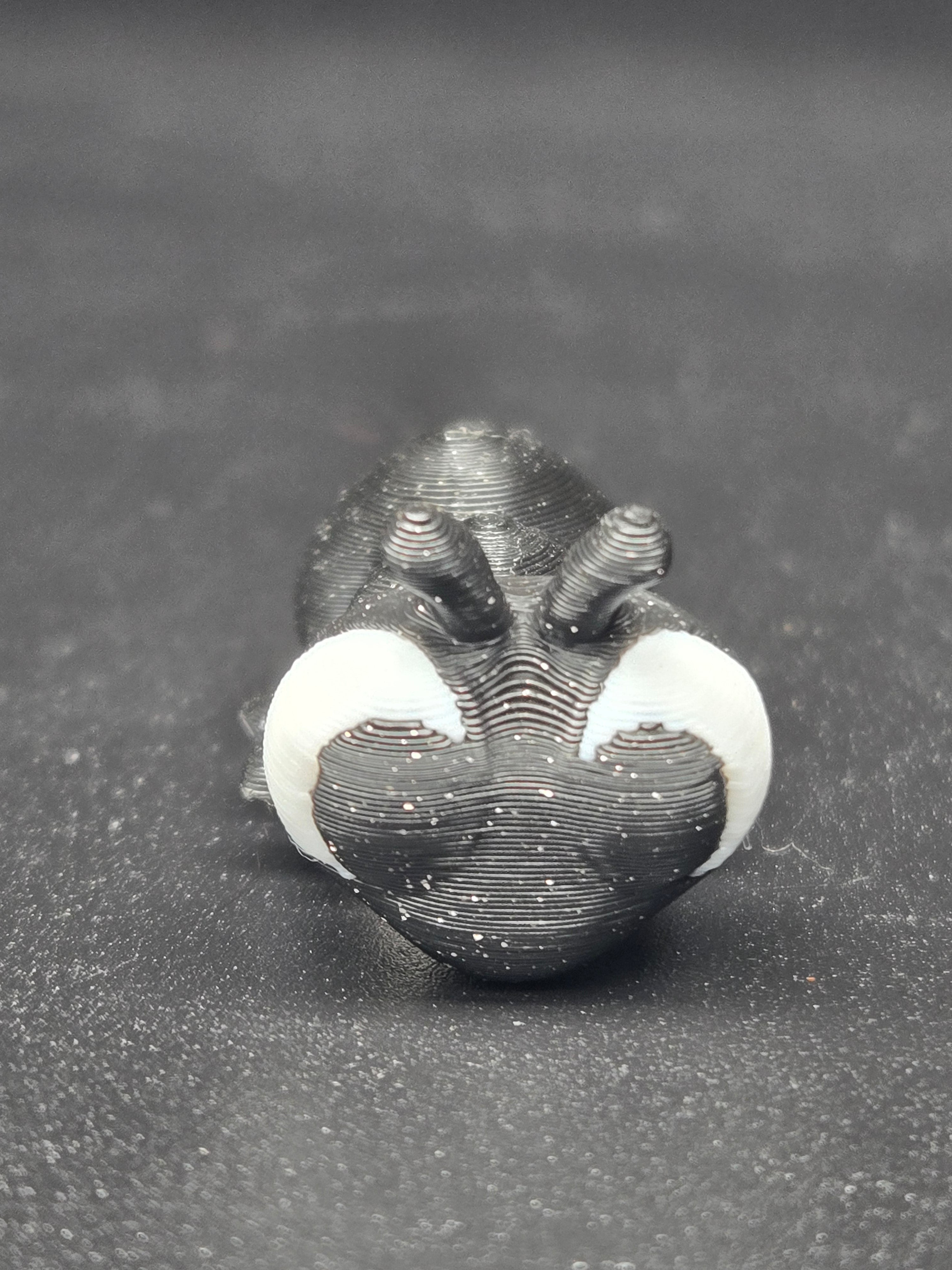Ant Magnet Box Set