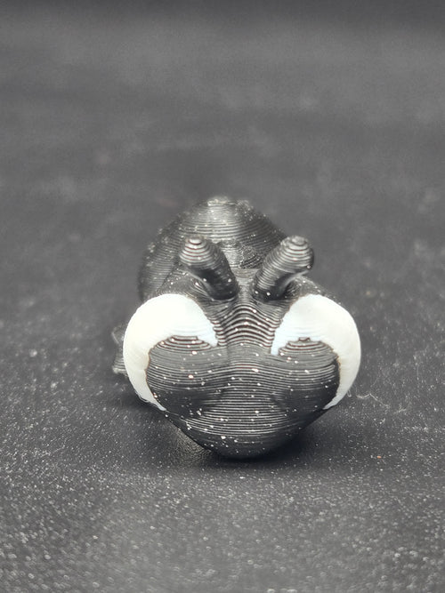Ant Magnet Box Set