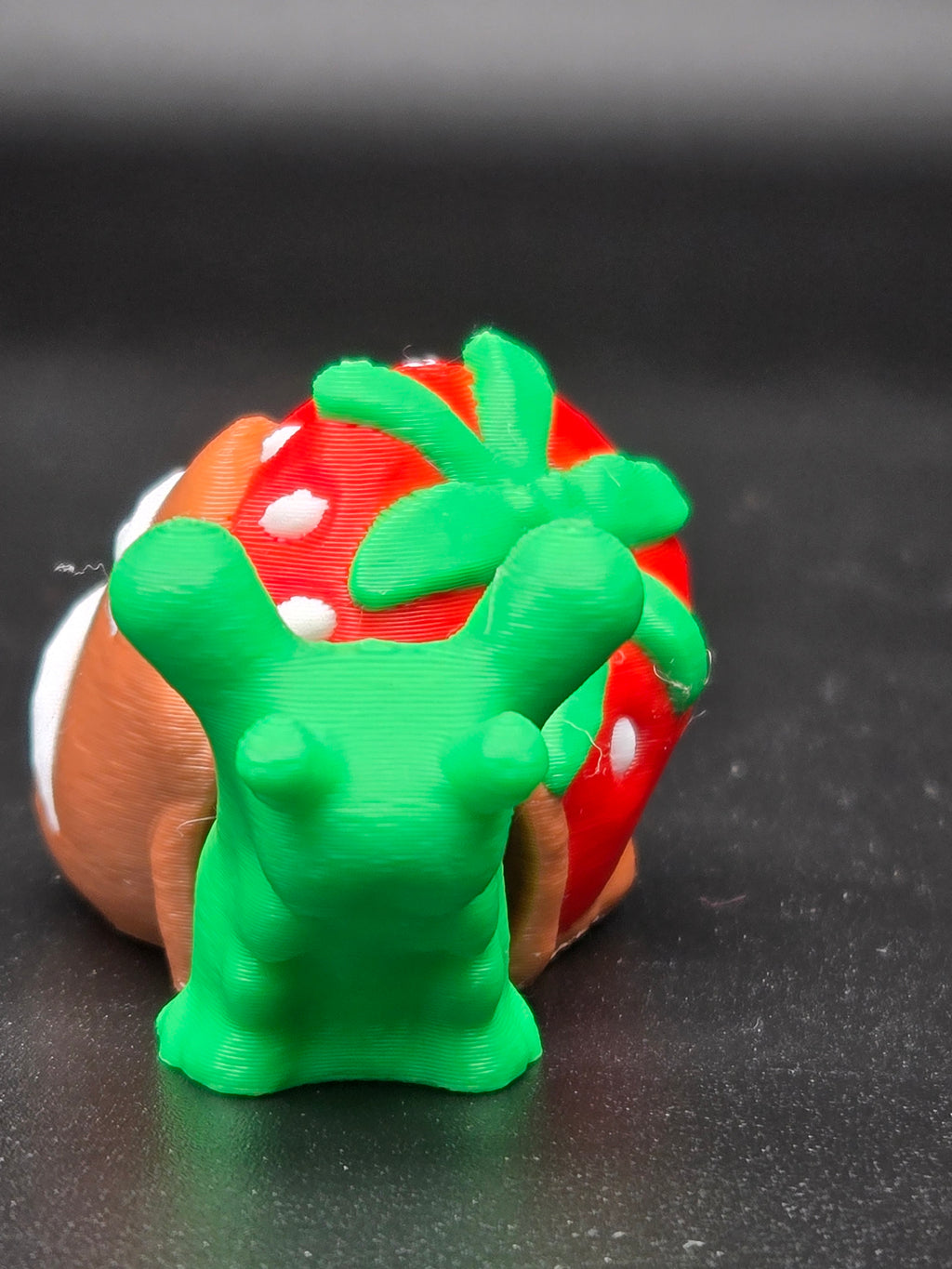 Chocolate Strawberry Snail