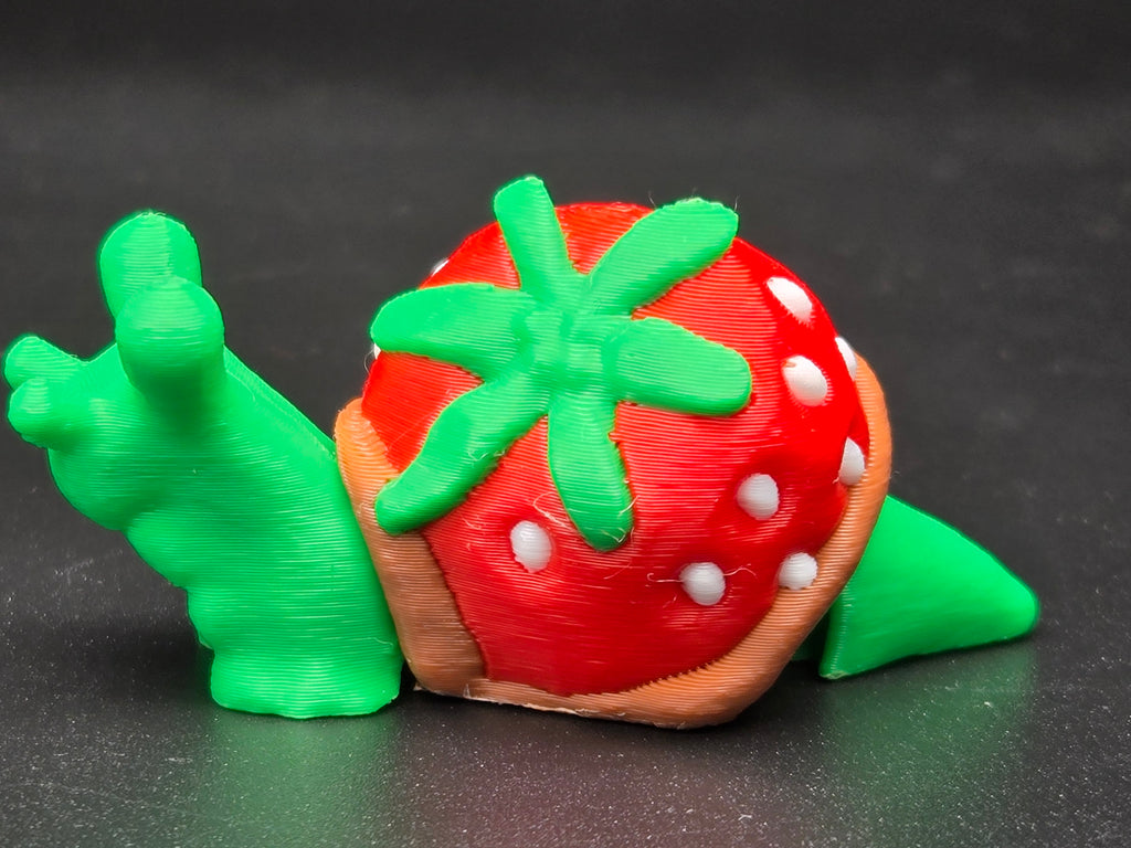 Chocolate Strawberry Snail