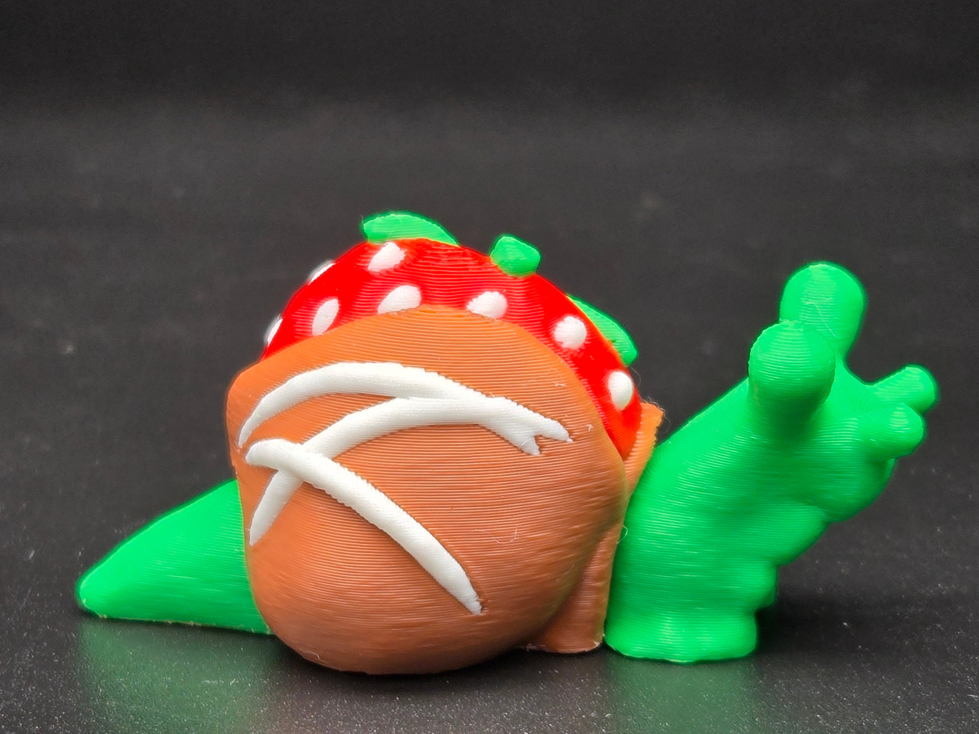 Chocolate Strawberry Snail