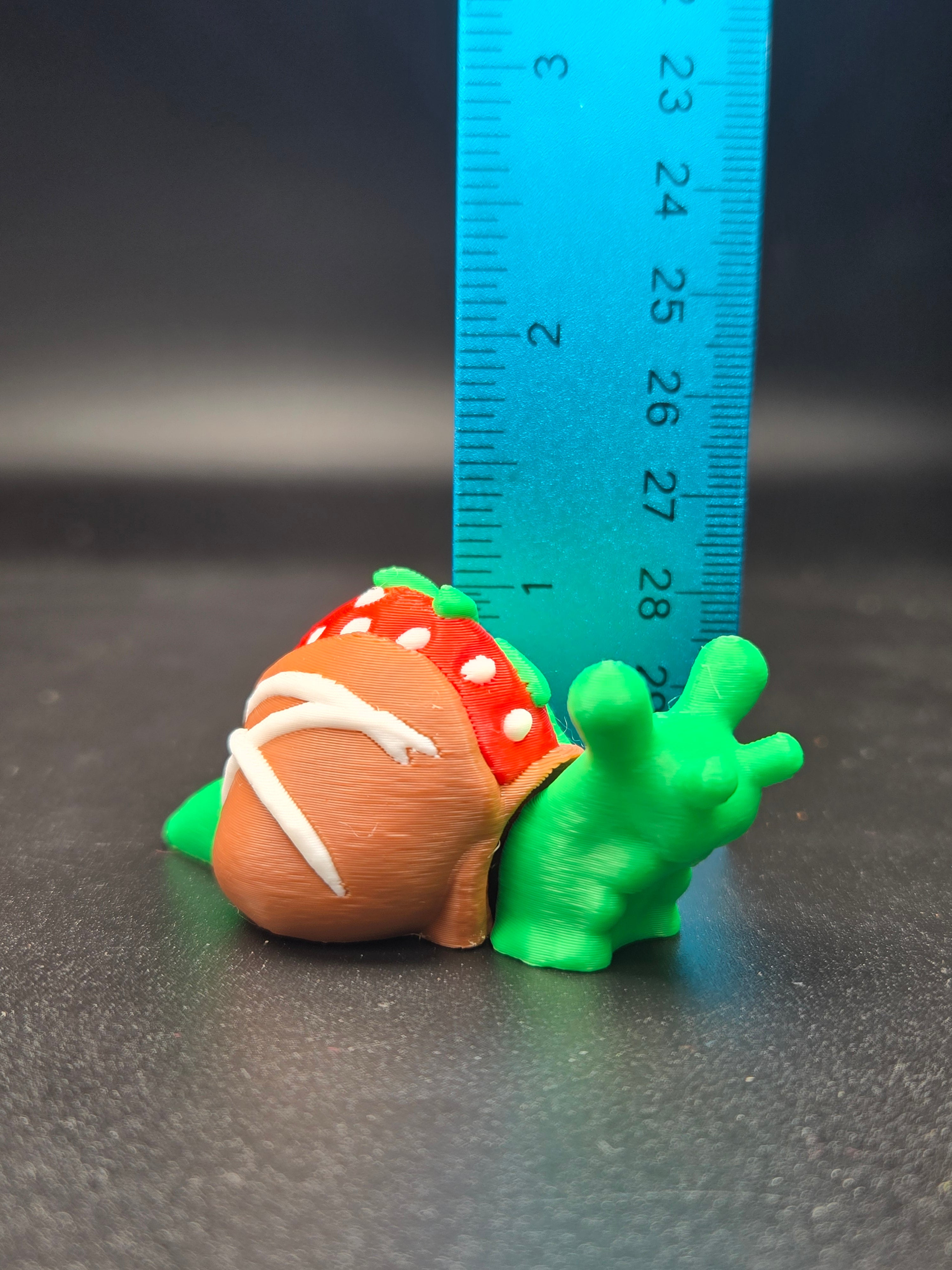Chocolate Strawberry Snail