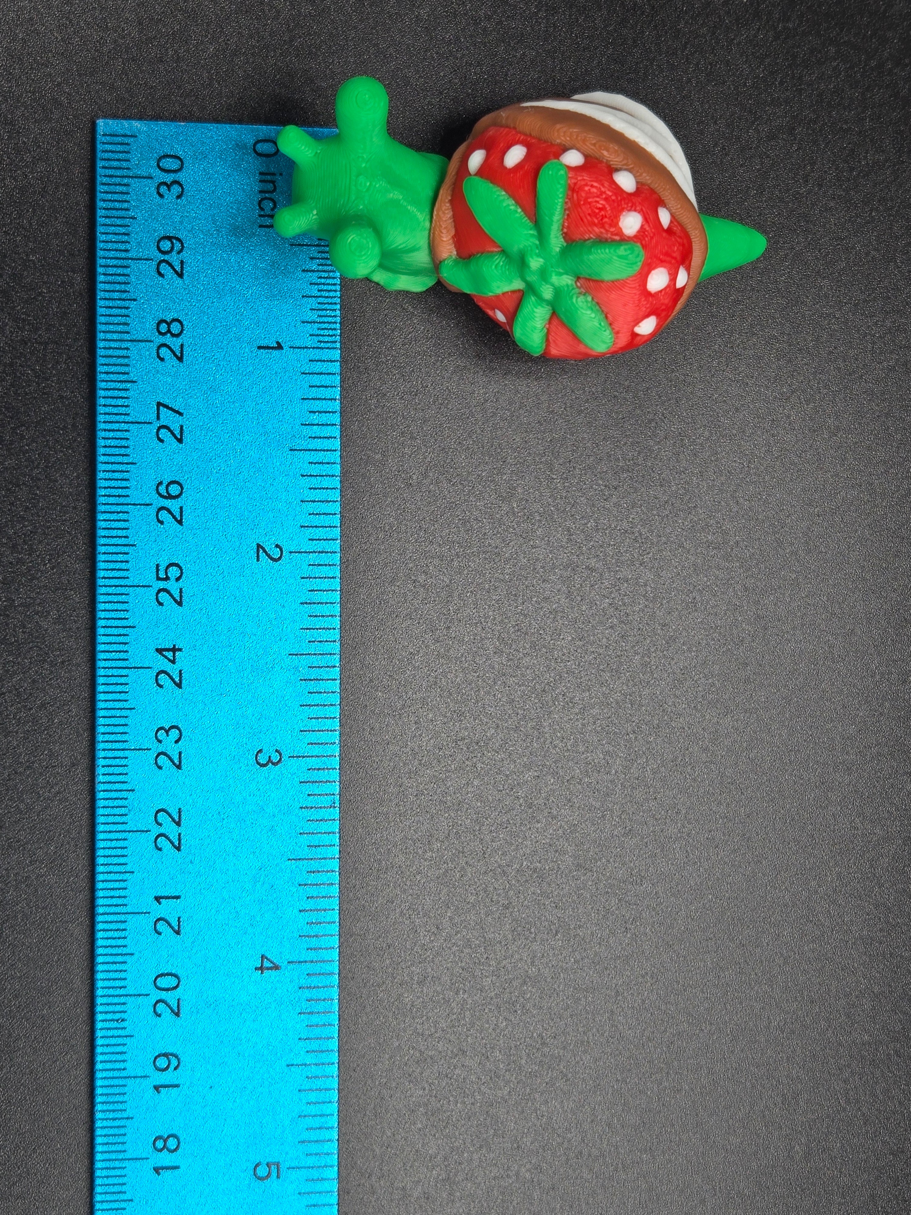 Chocolate Strawberry Snail