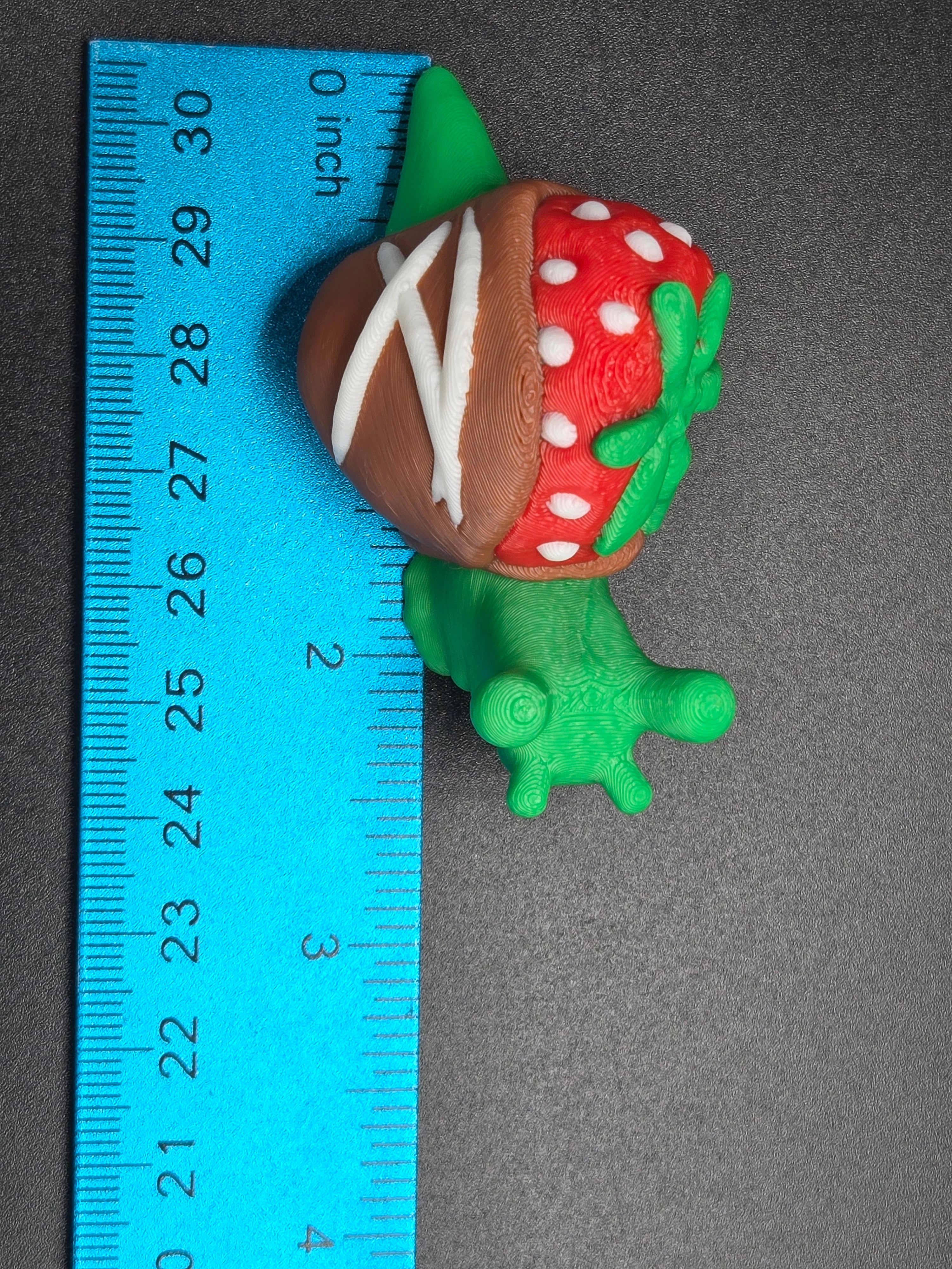 Chocolate Strawberry Snail