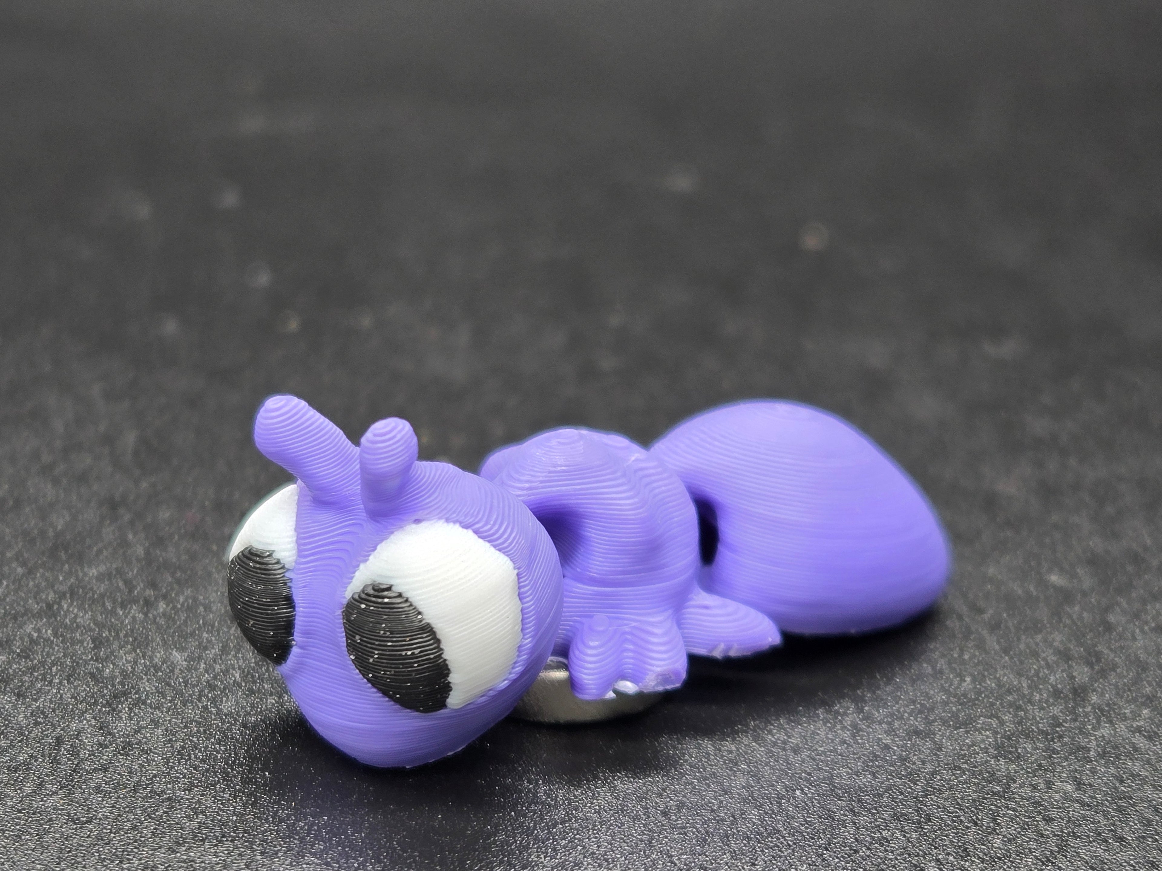 Ant Magnet Box Set