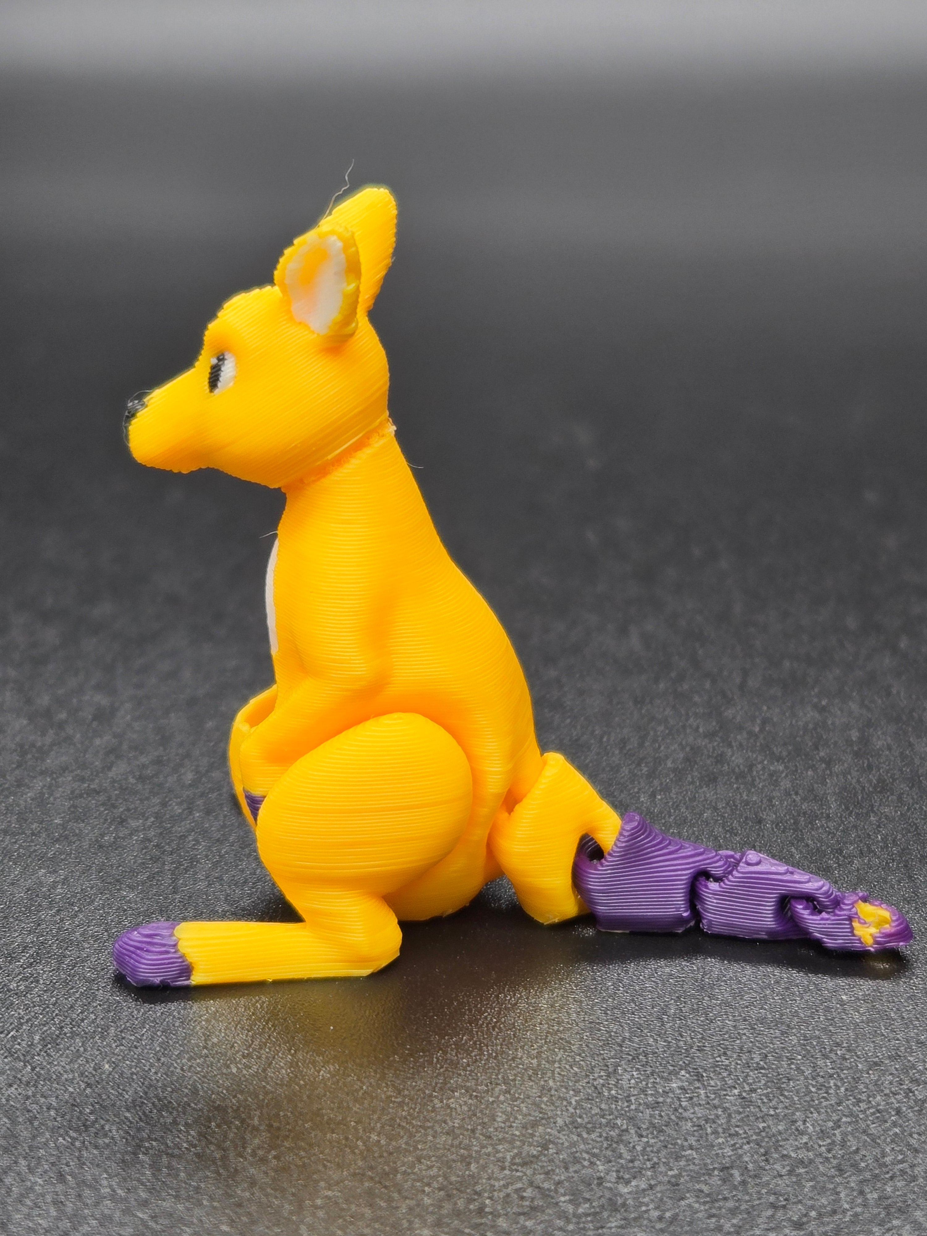 Kicking Kangaroo