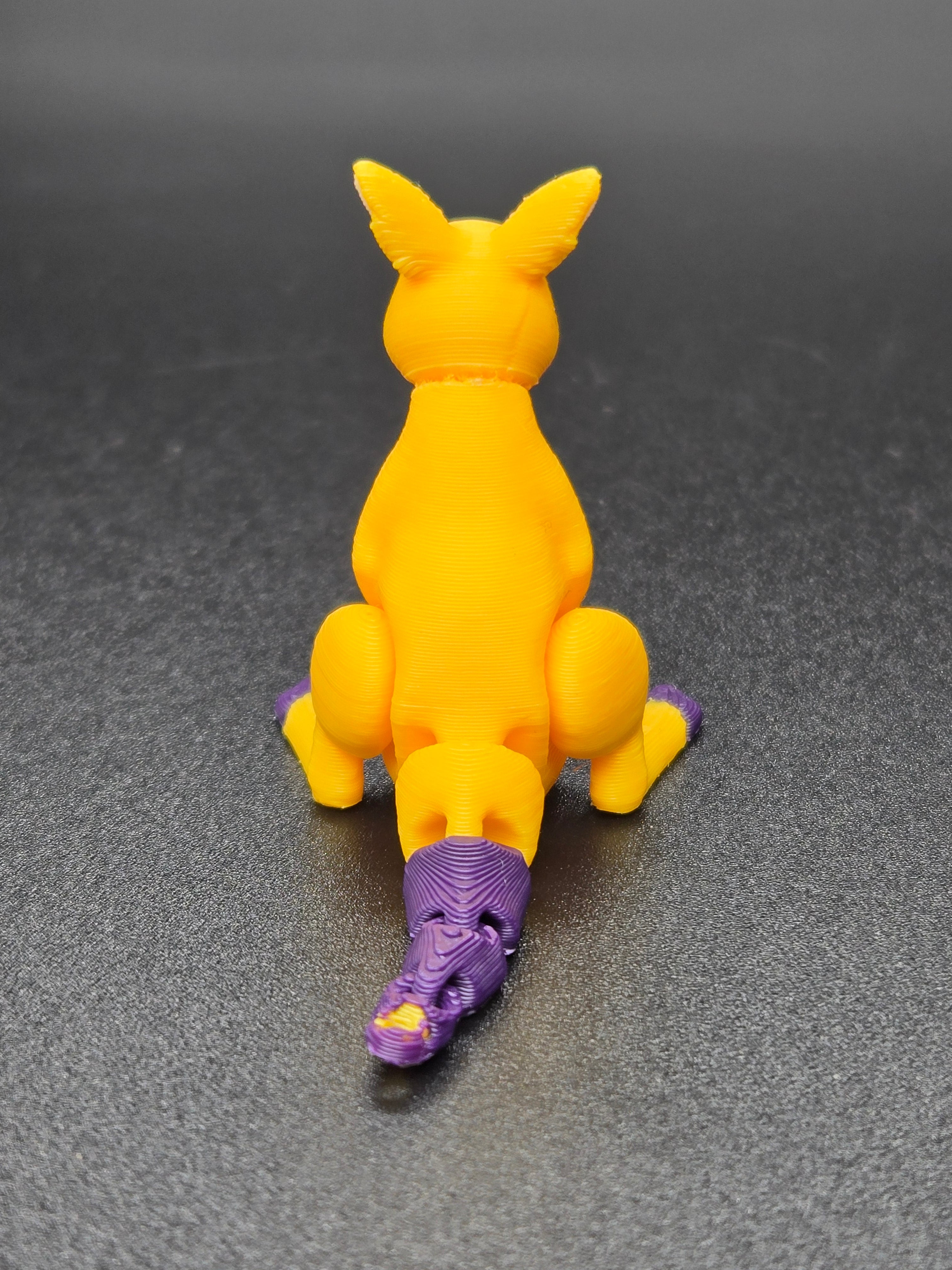 Kicking Kangaroo