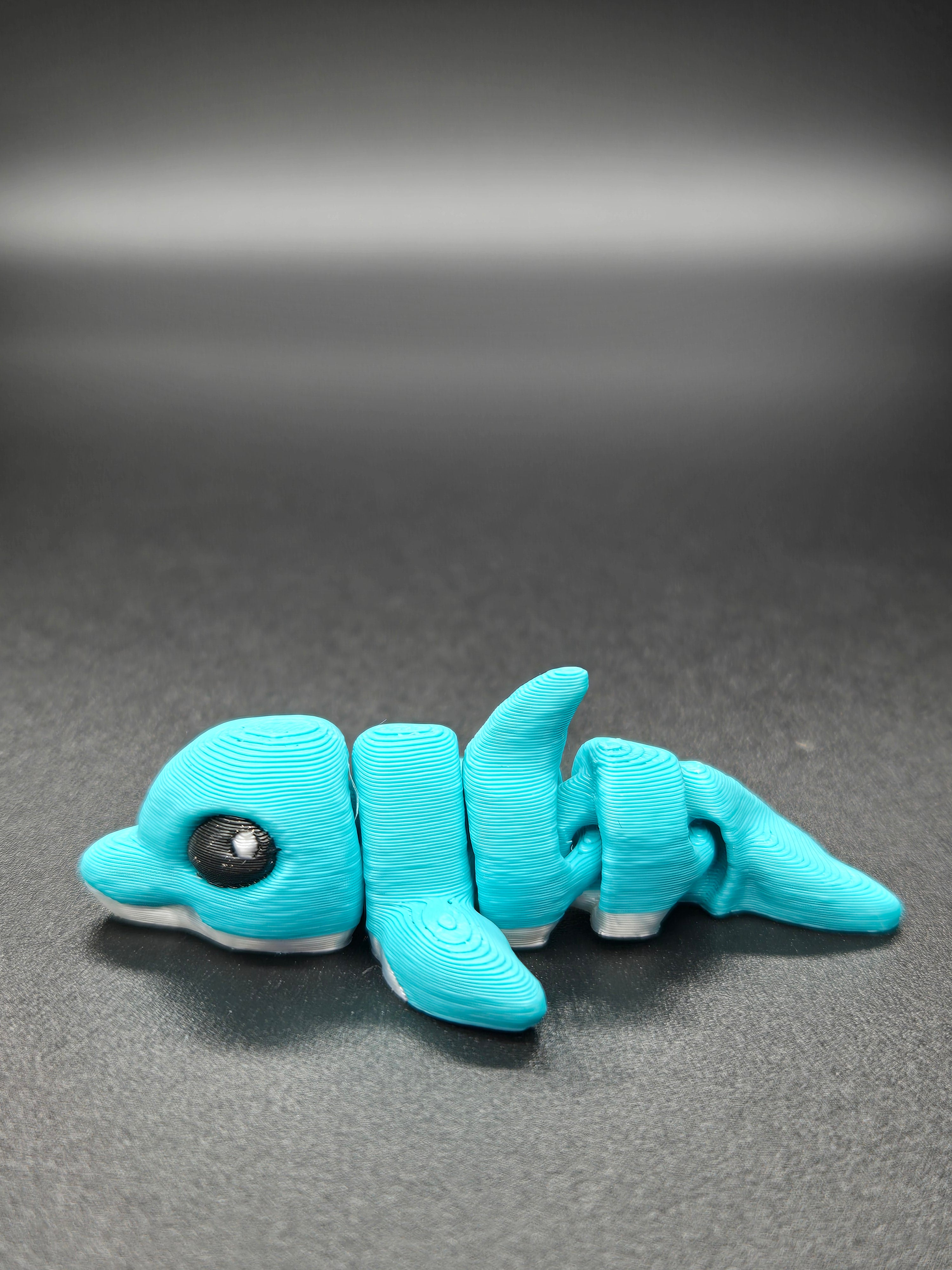 Dolphin Hatchling
