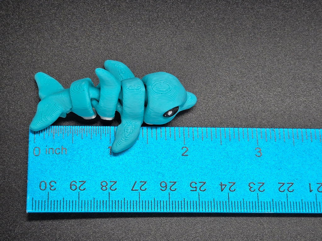 Dolphin Hatchling