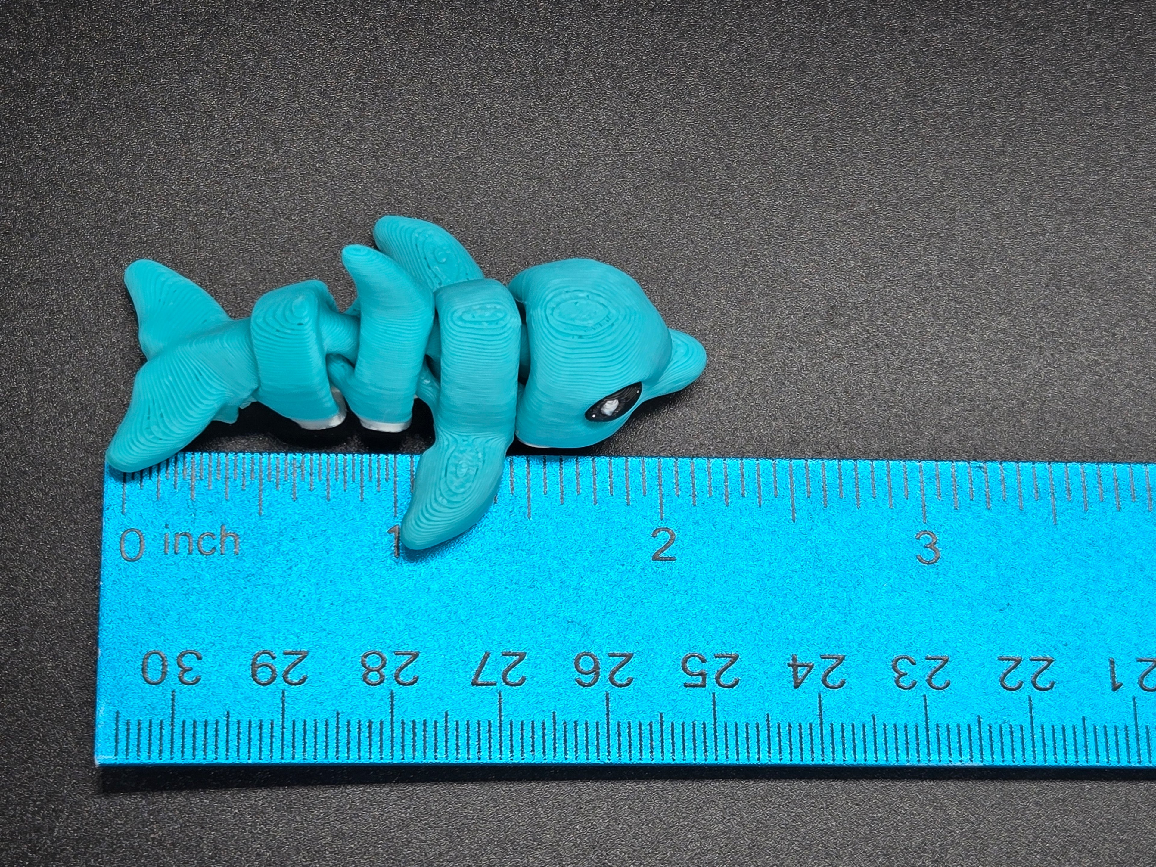 Dolphin Hatchling