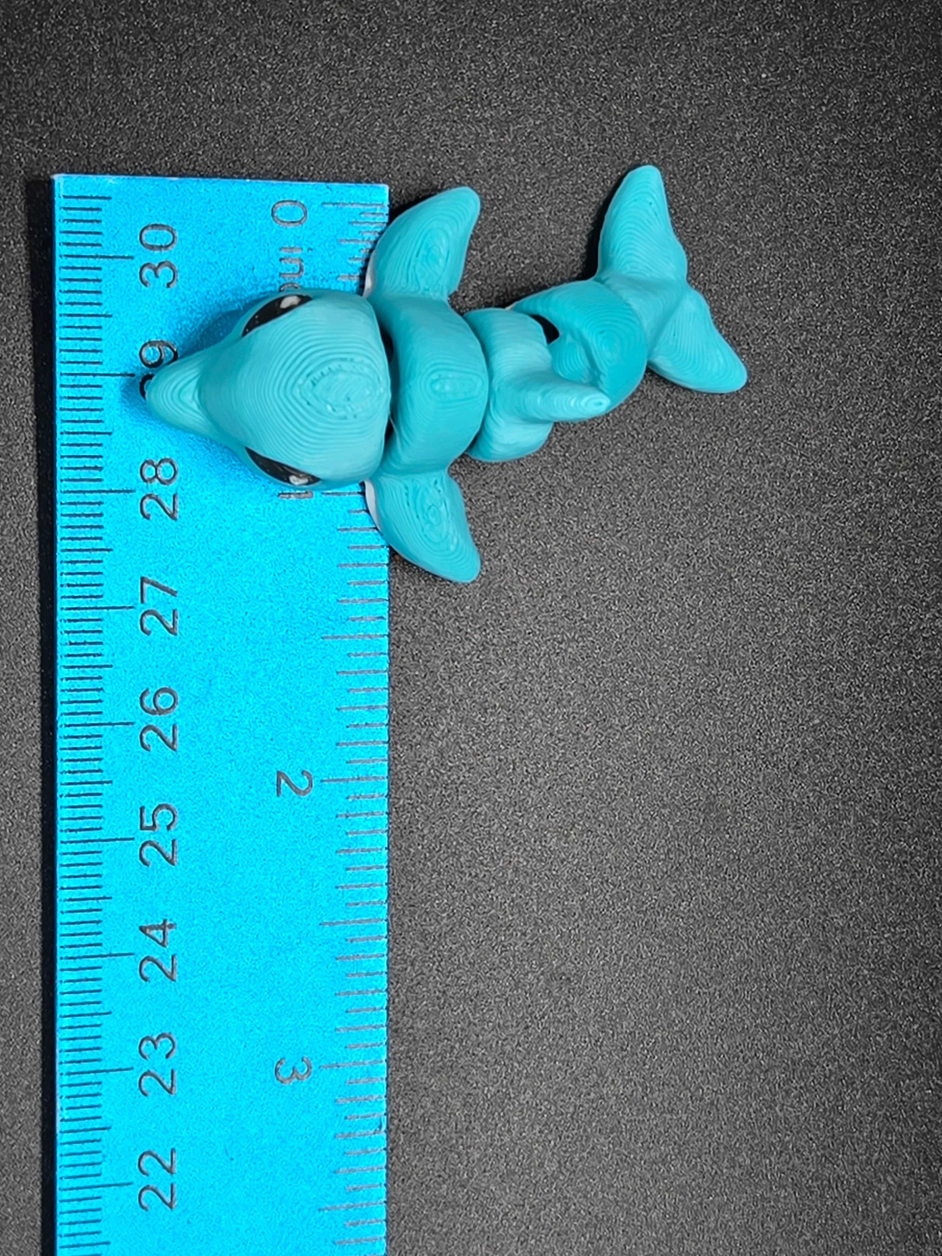 Dolphin Hatchling