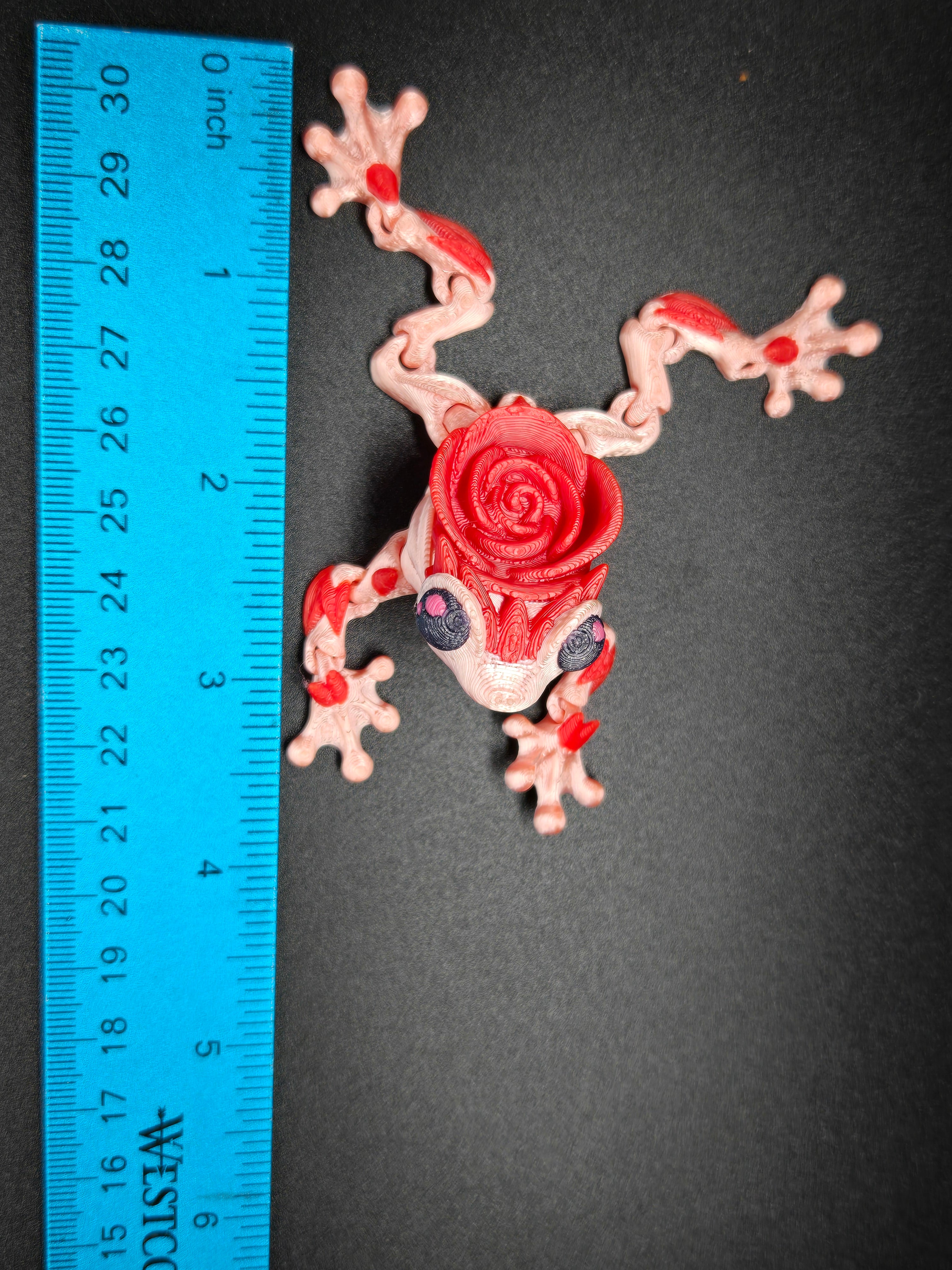 Valentine's Rose Frog