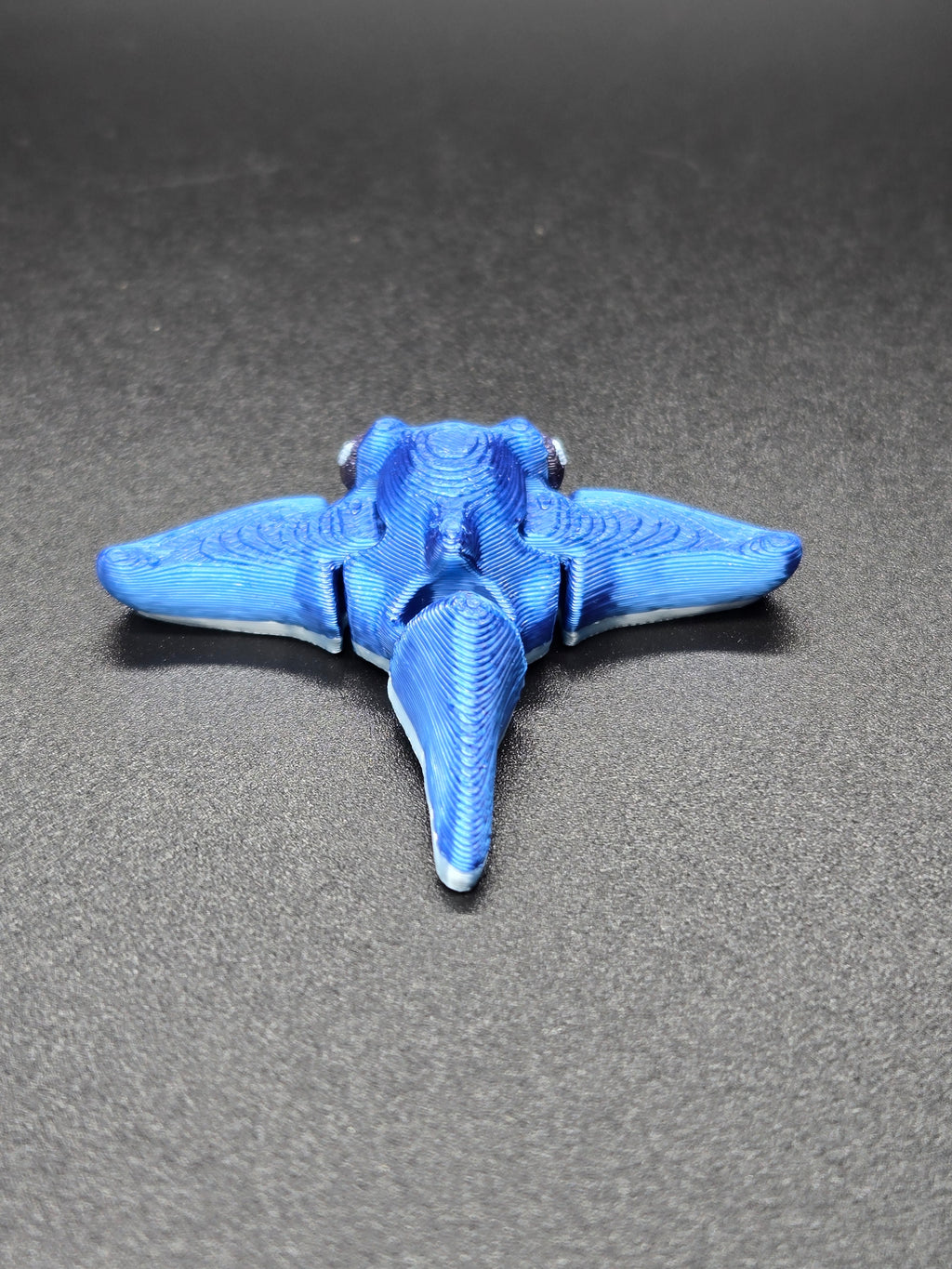 Manta Ray Hatchling
