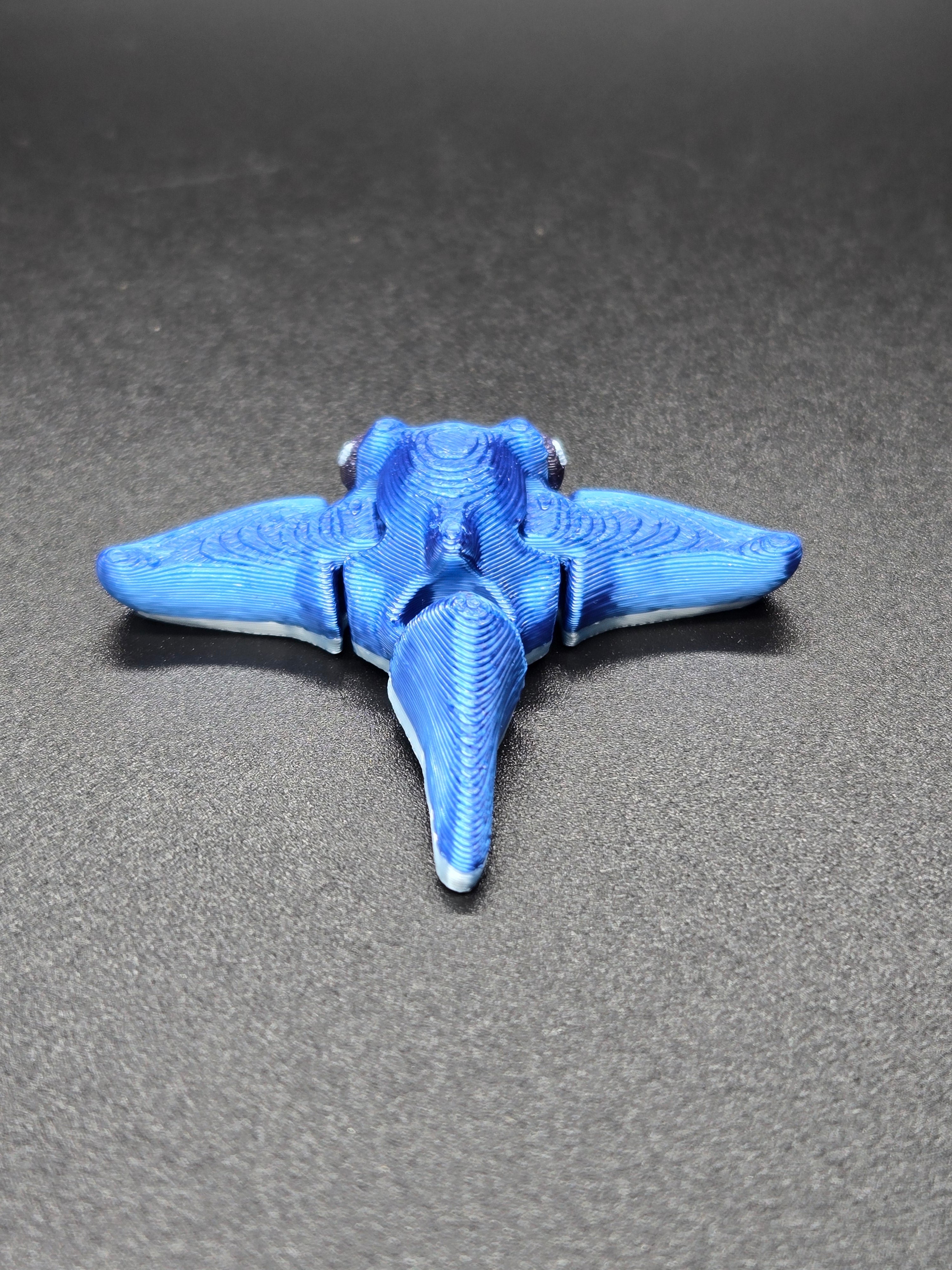 Manta Ray Hatchling