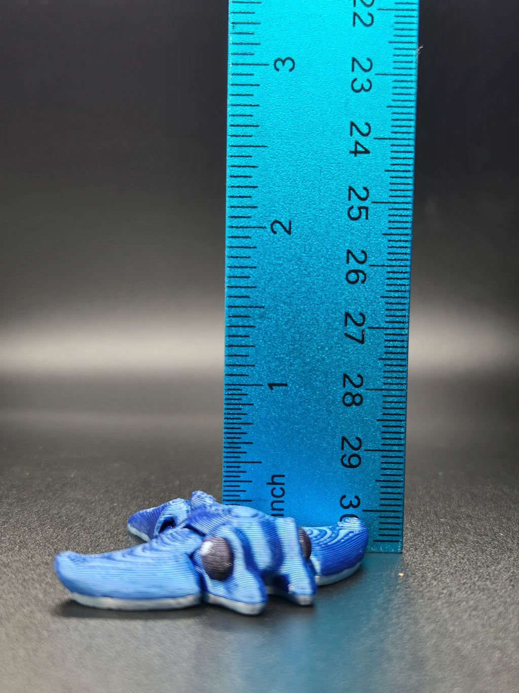 Manta Ray Hatchling