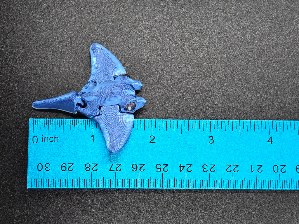 Manta Ray Hatchling