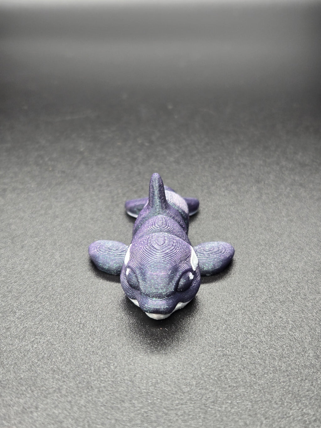 Orca Hatchling