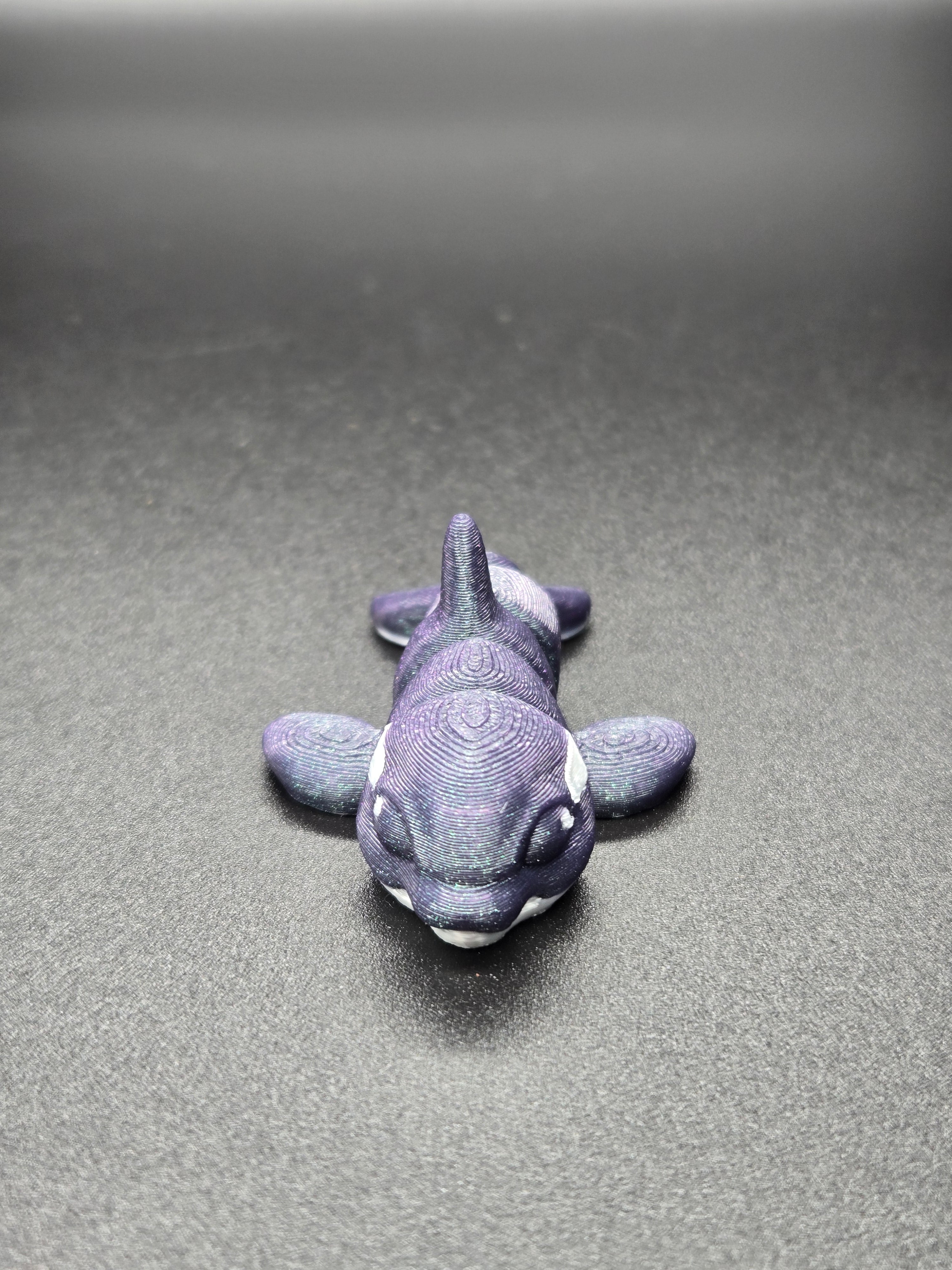 Orca Hatchling